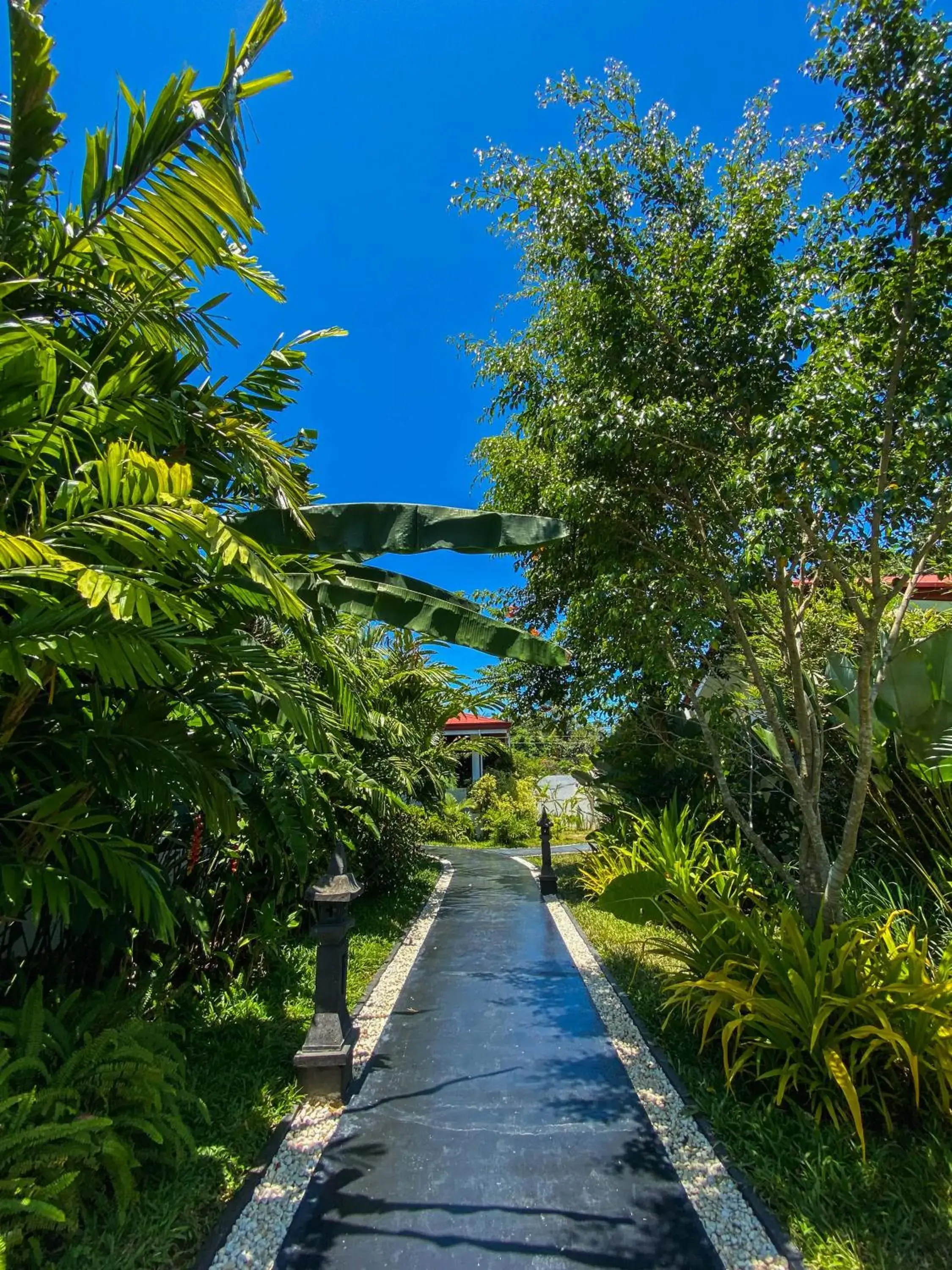 View (from property/room) in Carpe Diem Villas & Resort Dive & Stay resort View (from property/room) in Carpe Diem Villas & Resort Dive & Stay resort