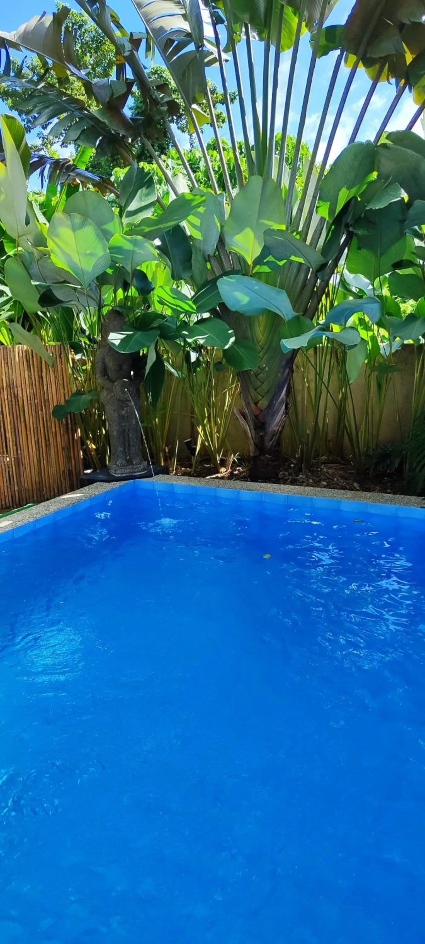 Swimming pool in Carpe Diem Villas & Resort
