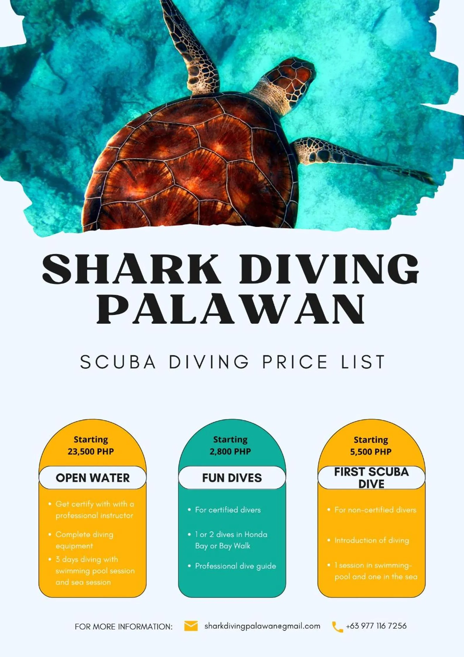 Diving in Carpe Diem Villas & Resort