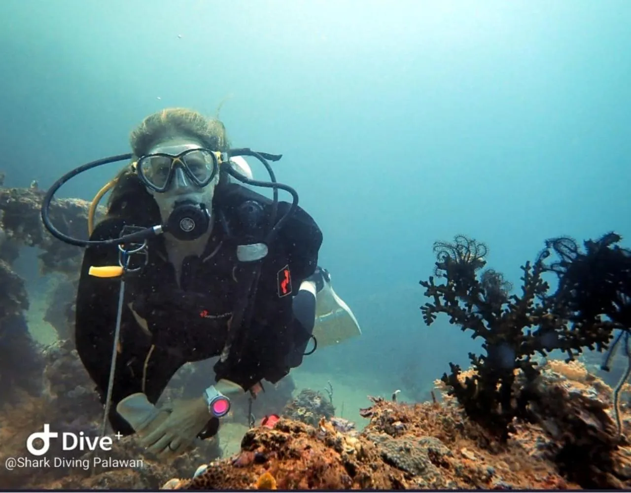 Diving in Carpe Diem Villas & Resort