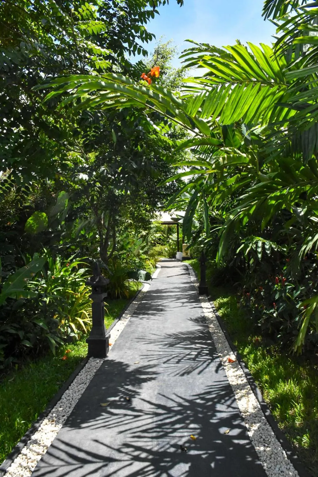 Garden in Carpe Diem Villas & Resort