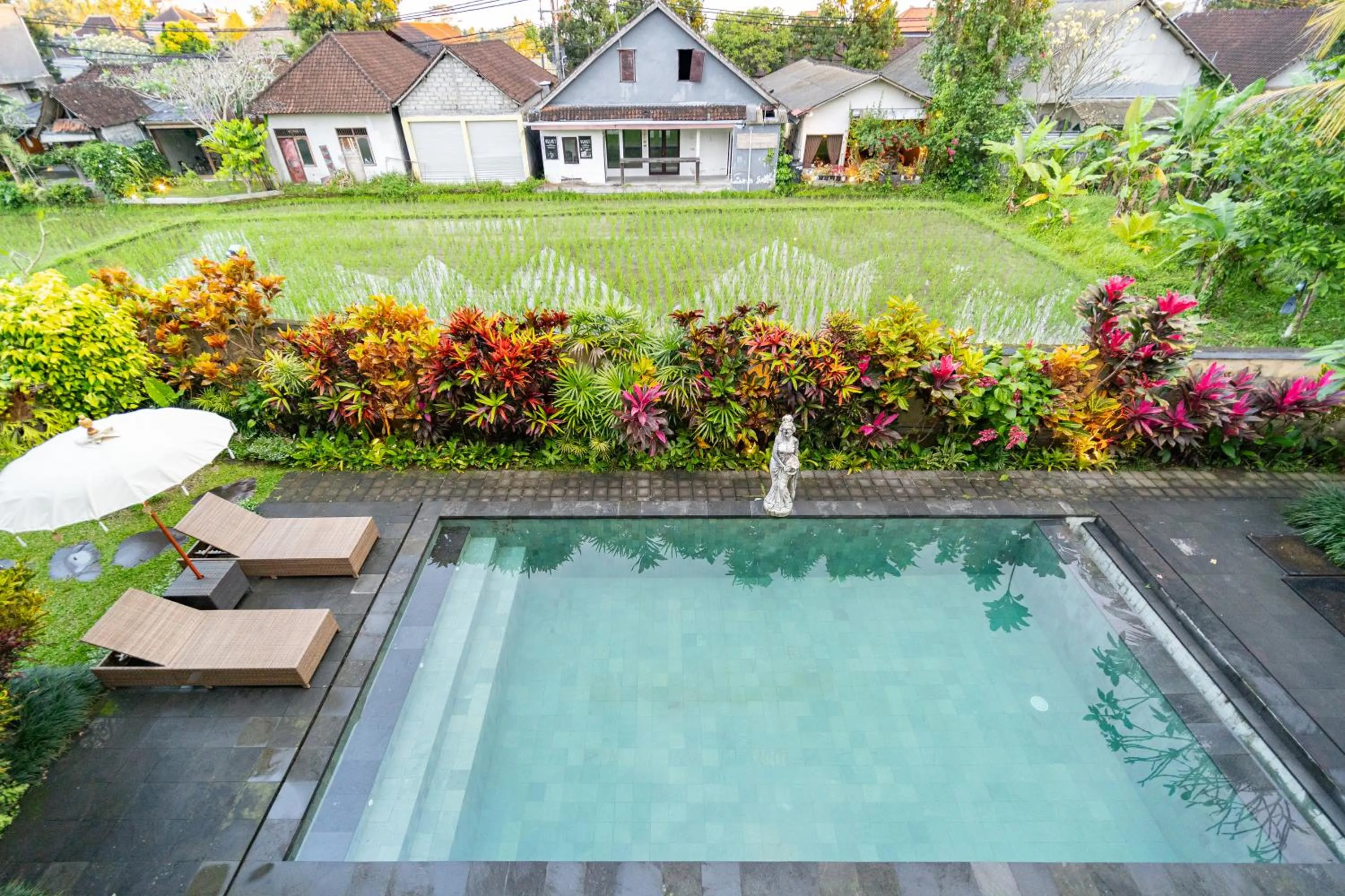 Pool view in The Dayuh Ubud