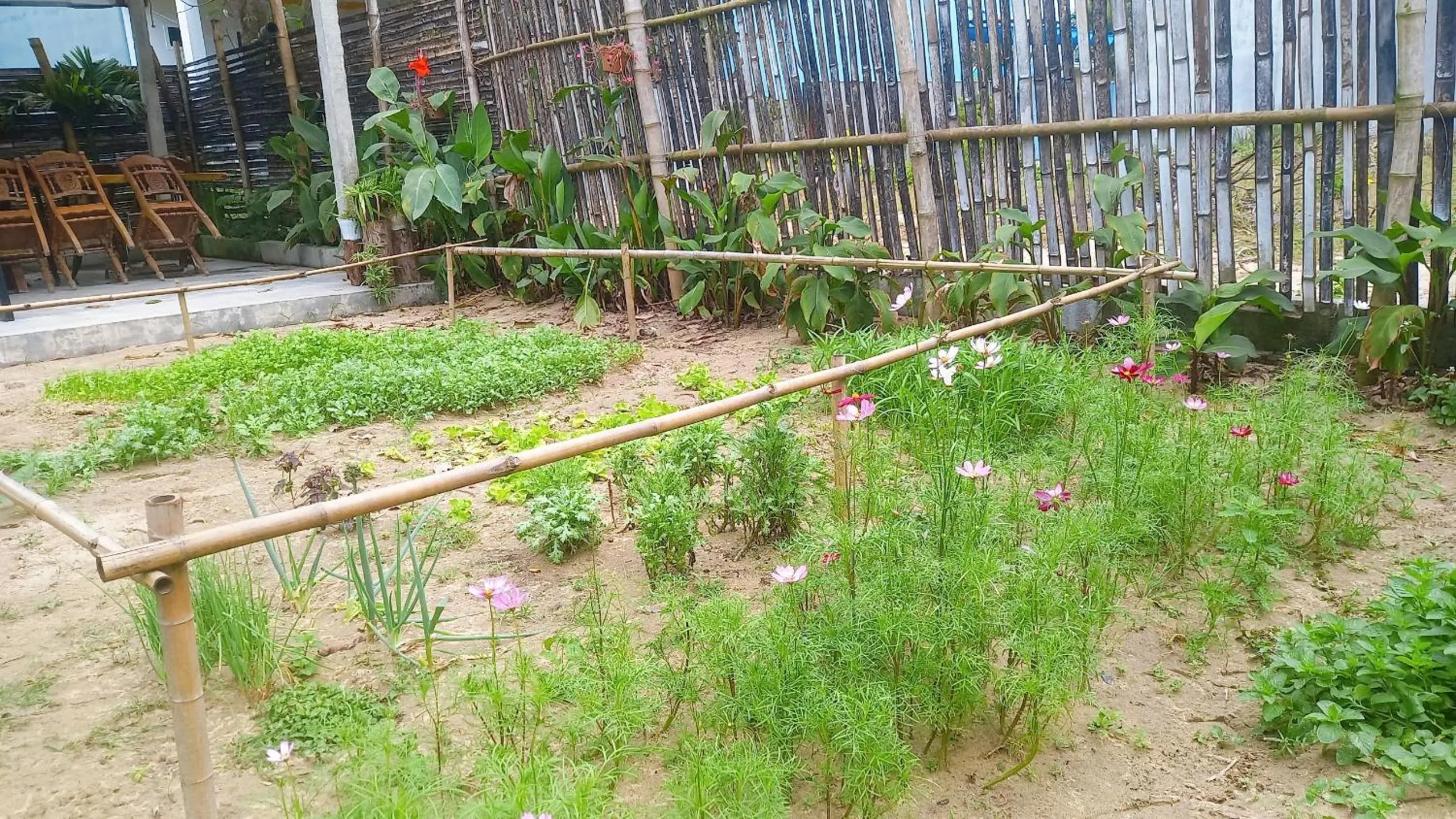 Garden in Ngoc An Bang Villa