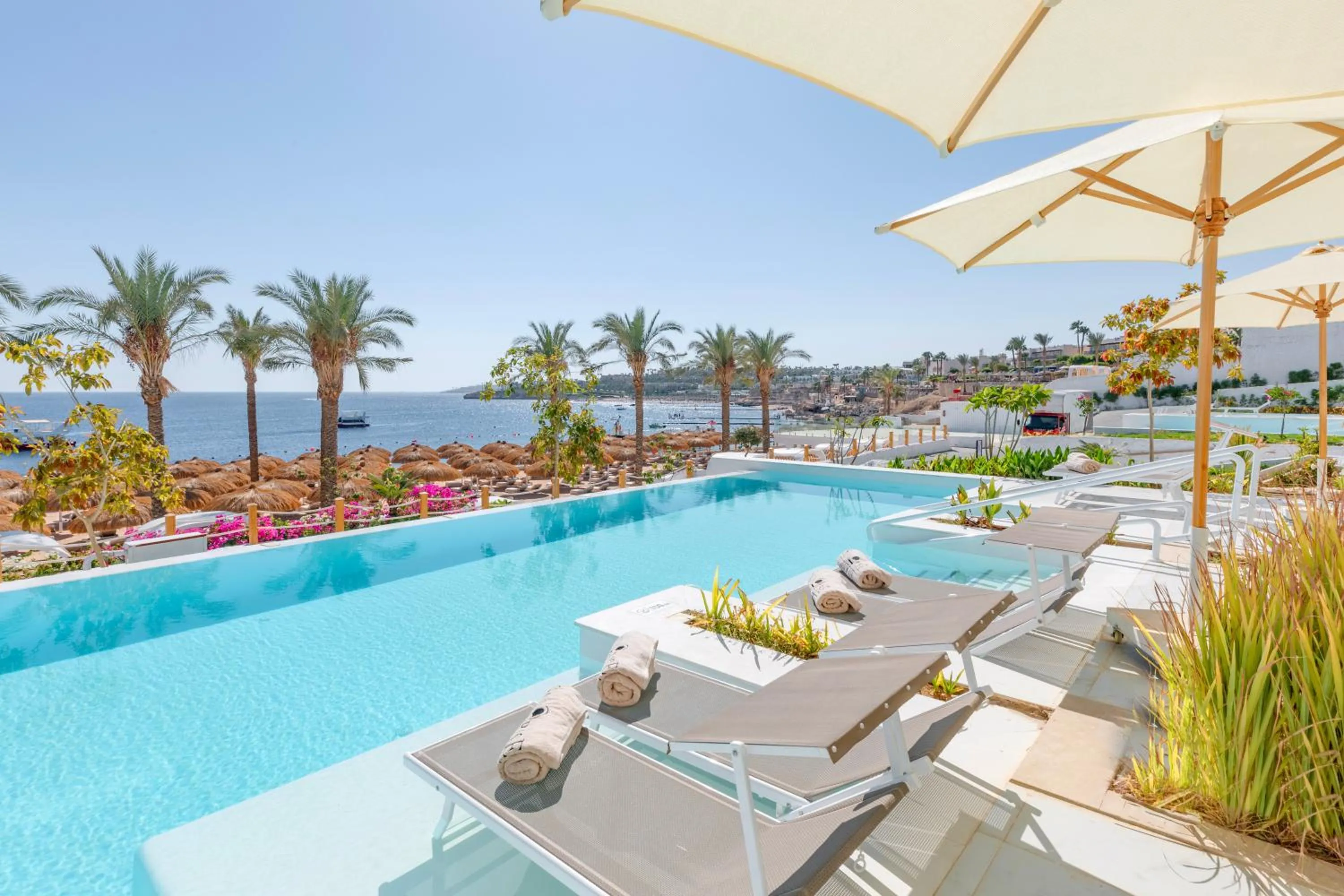 Balcony/Terrace in White Hills Resort