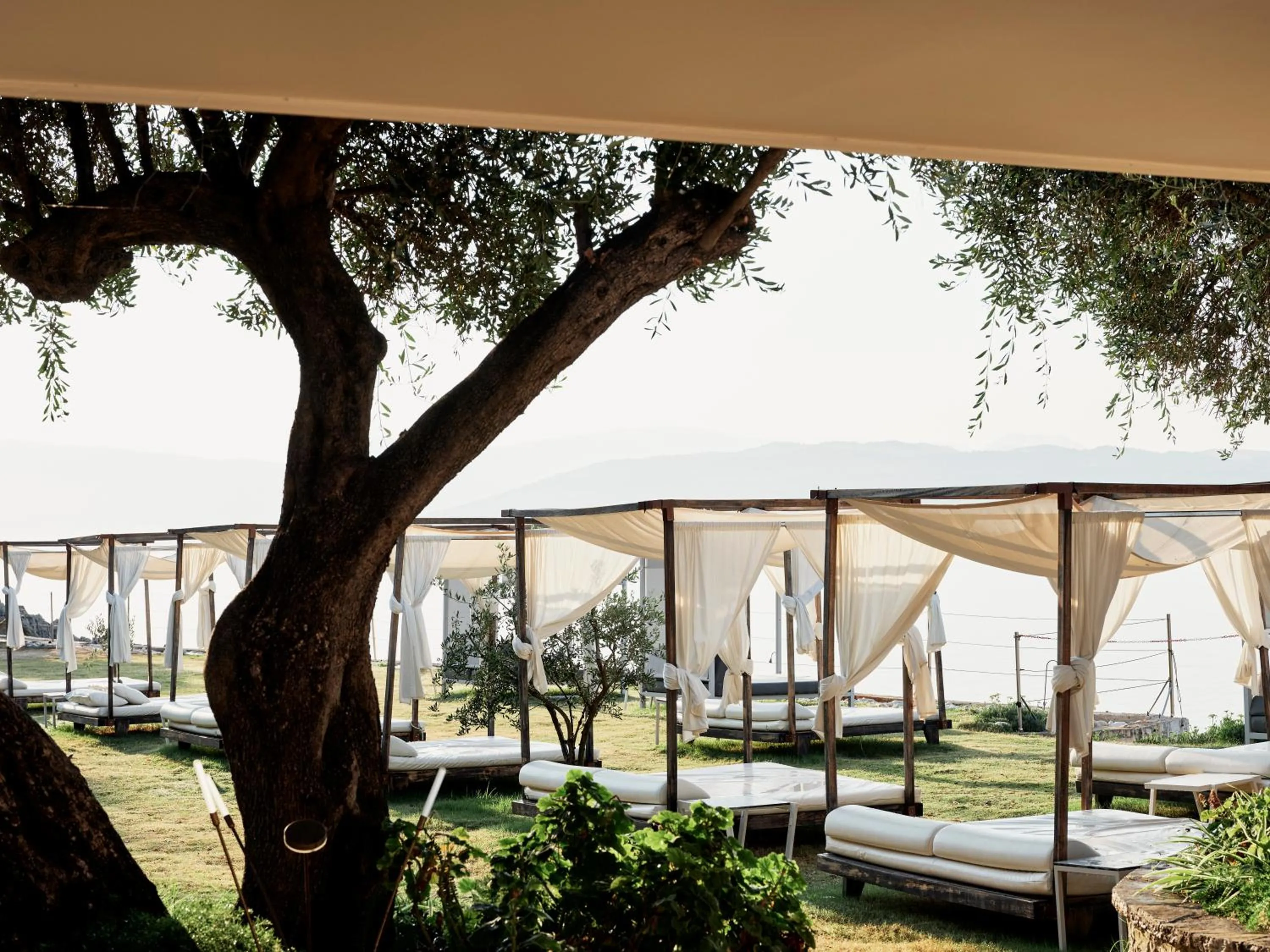 Garden in Atlantica Nissaki Beach - Adults Only