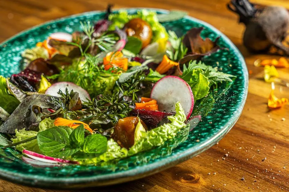 Hotel Ecolife Tenerife