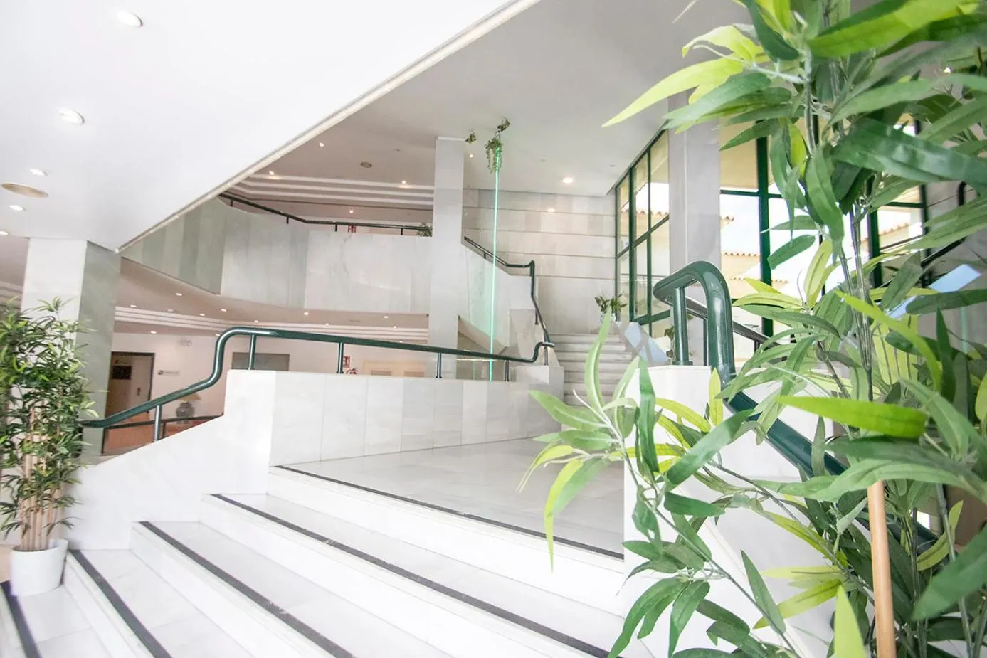 Area and facilities in Hospedium Hotel Apartamentos Simón Verde