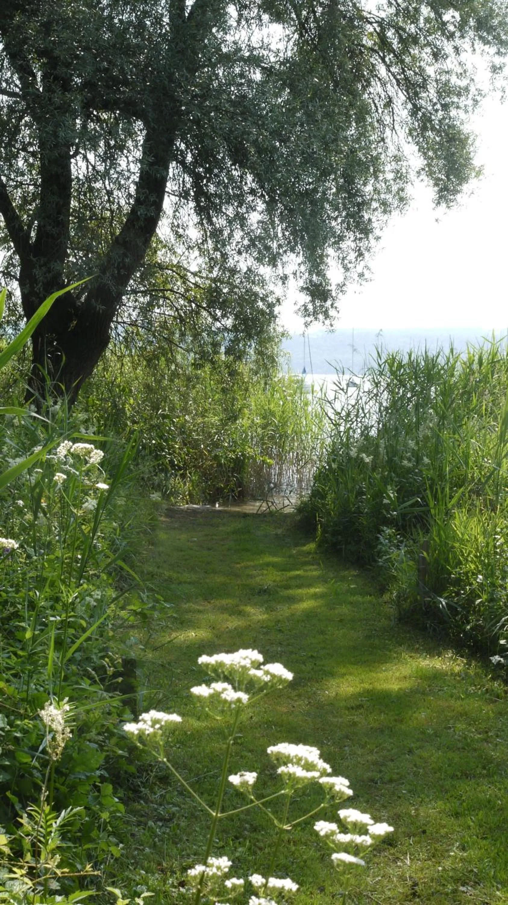 Summer in Hotel Maurerhansl