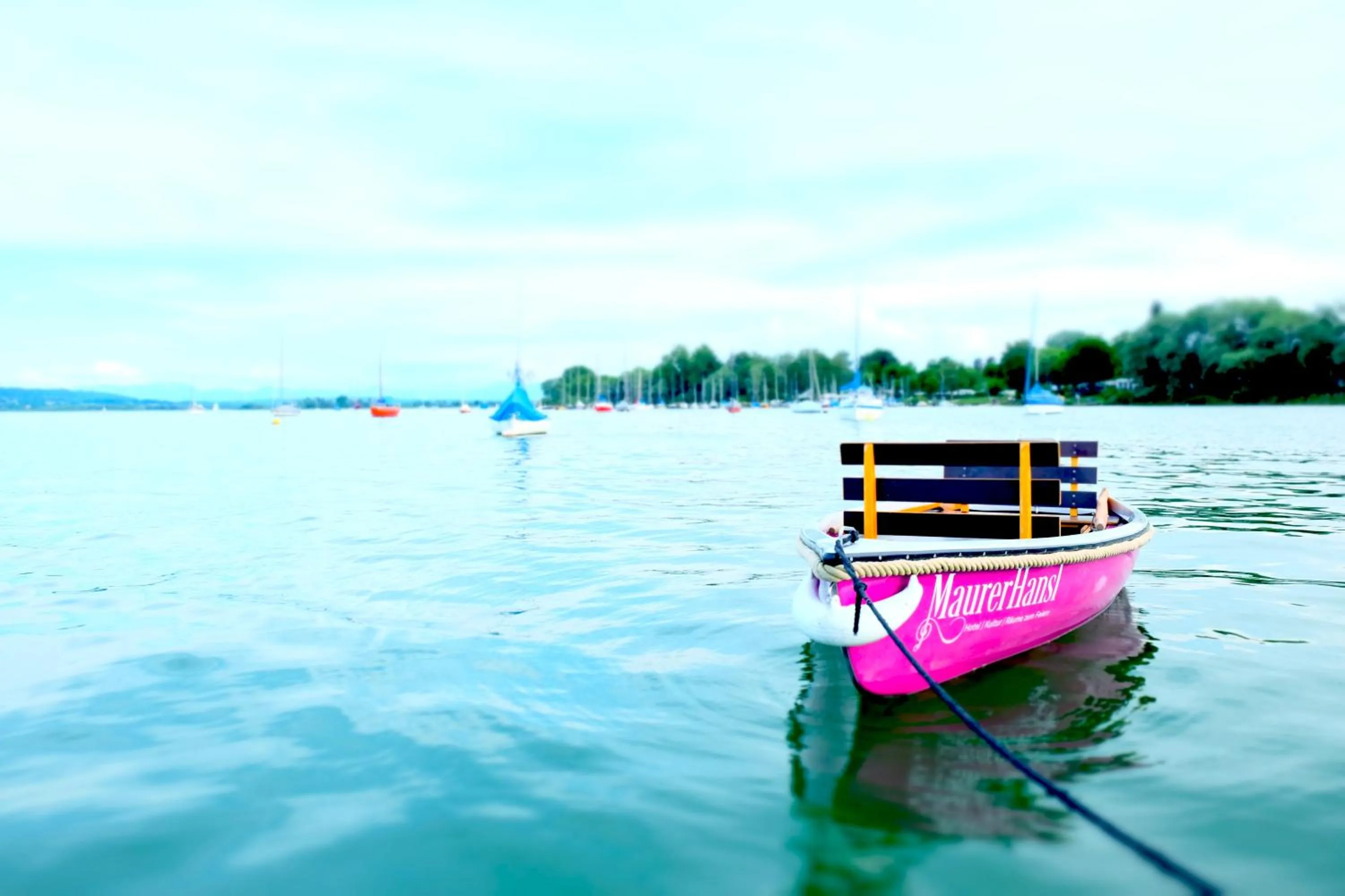 Natural landscape in Hotel Maurerhansl