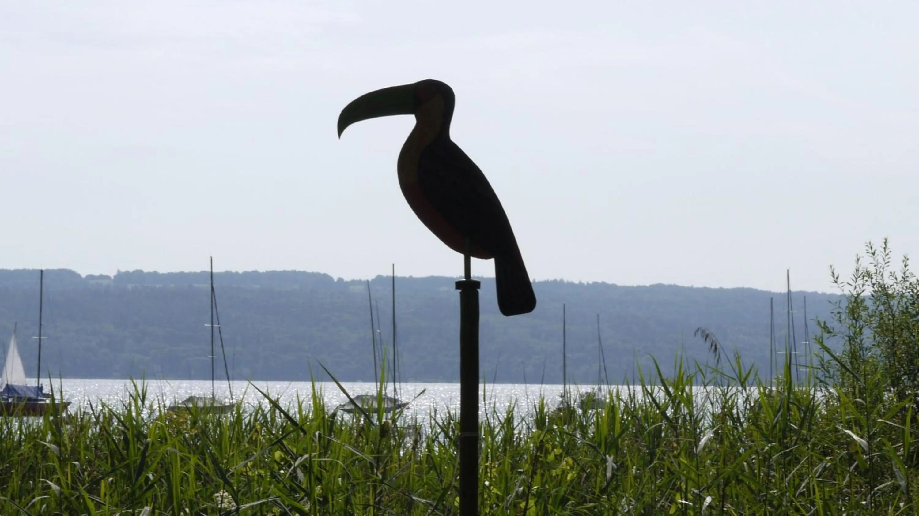 Summer in Hotel Maurerhansl