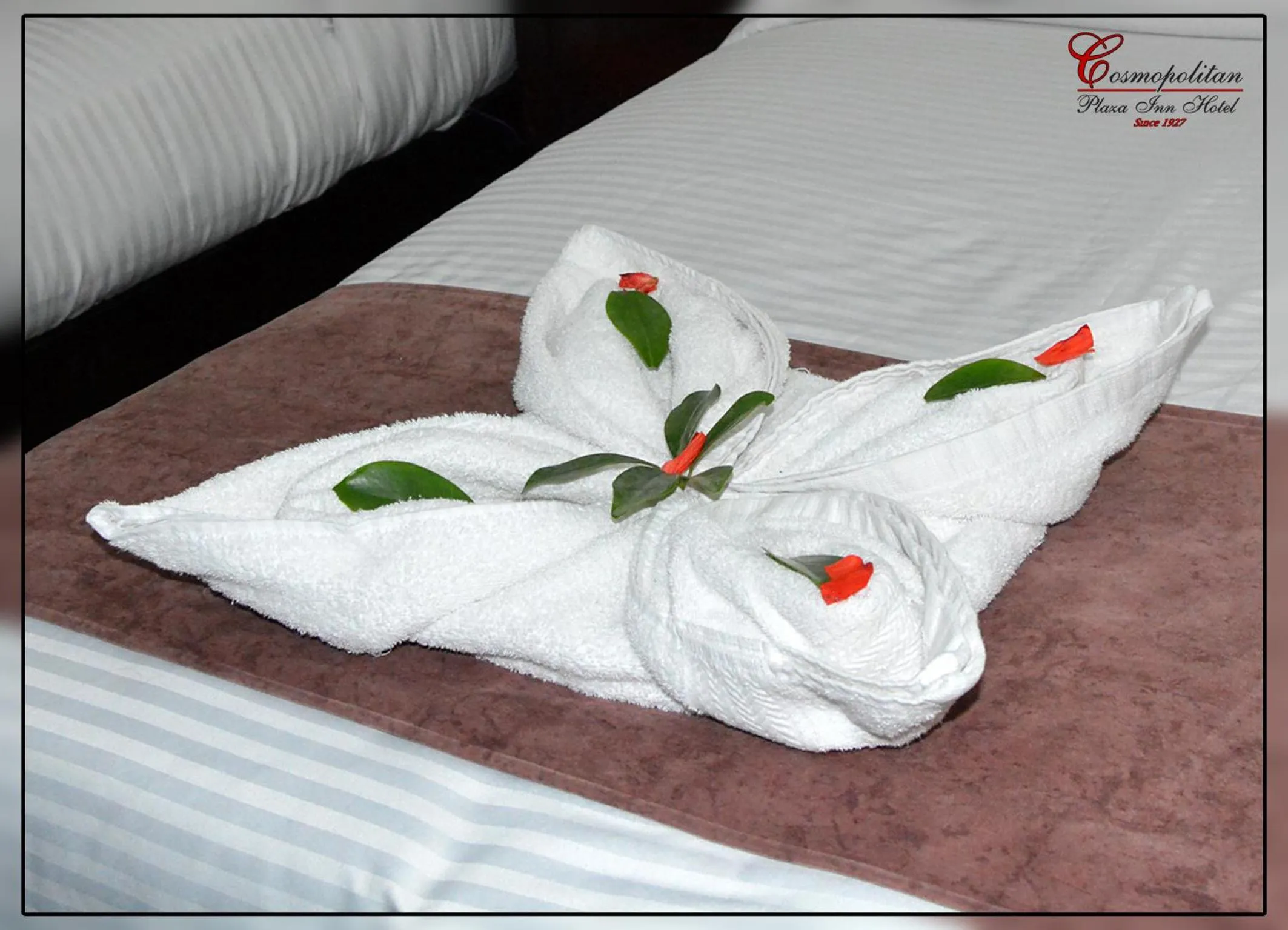 towels, Bed in Cosmopolitan hotel