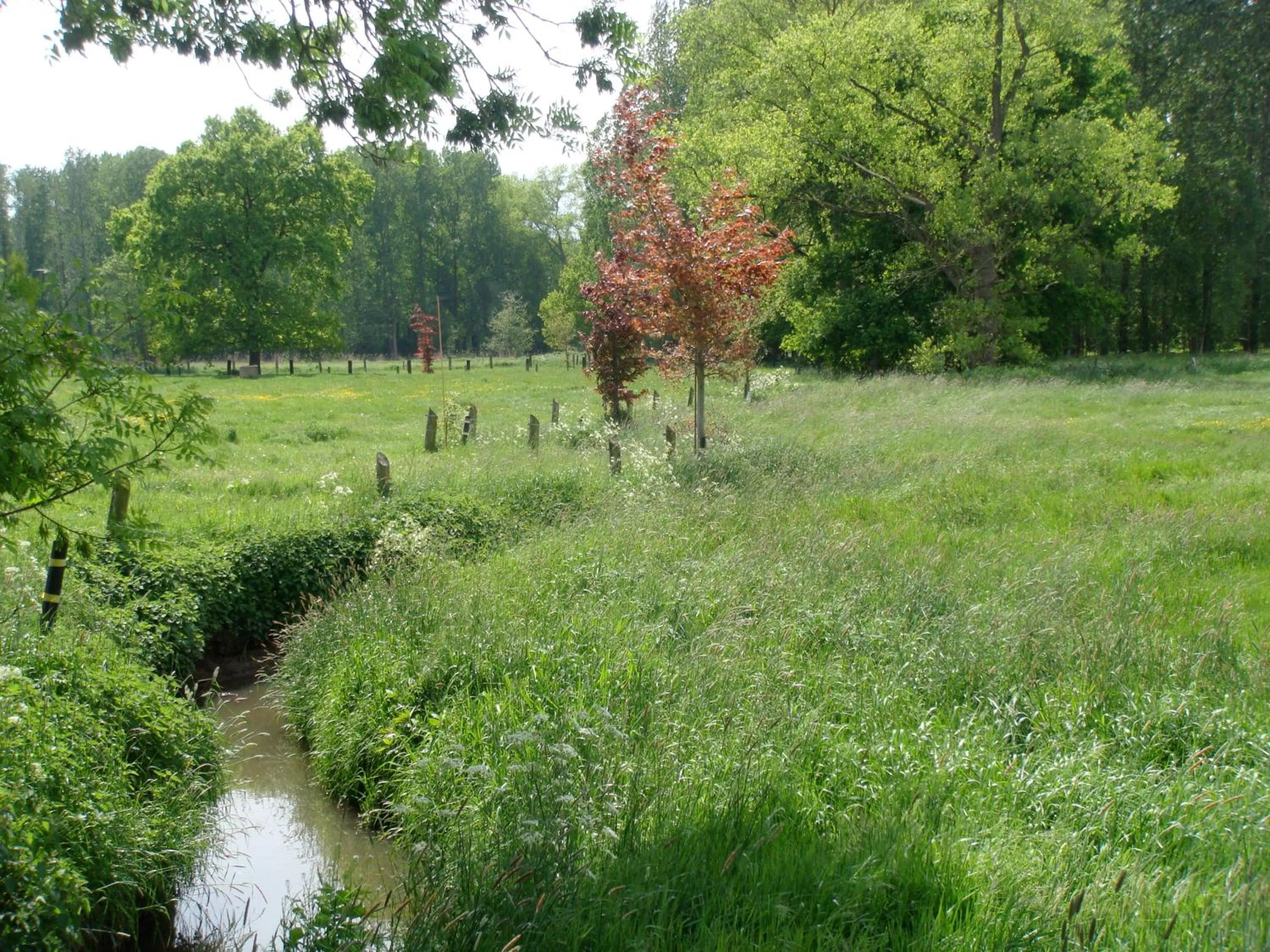 Natural landscape in B&B De Grote Plaats