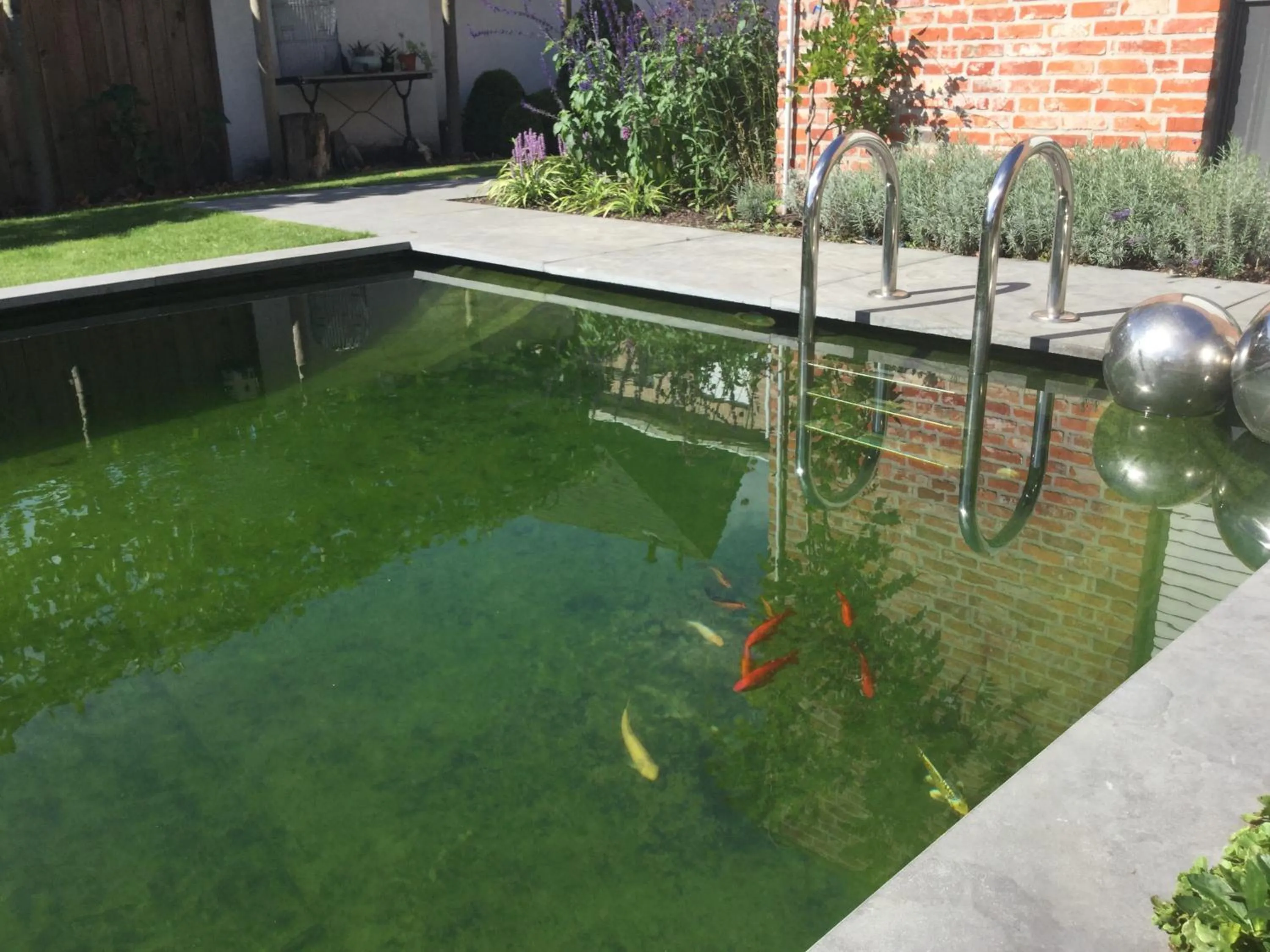 Garden in B&B De Grote Plaats