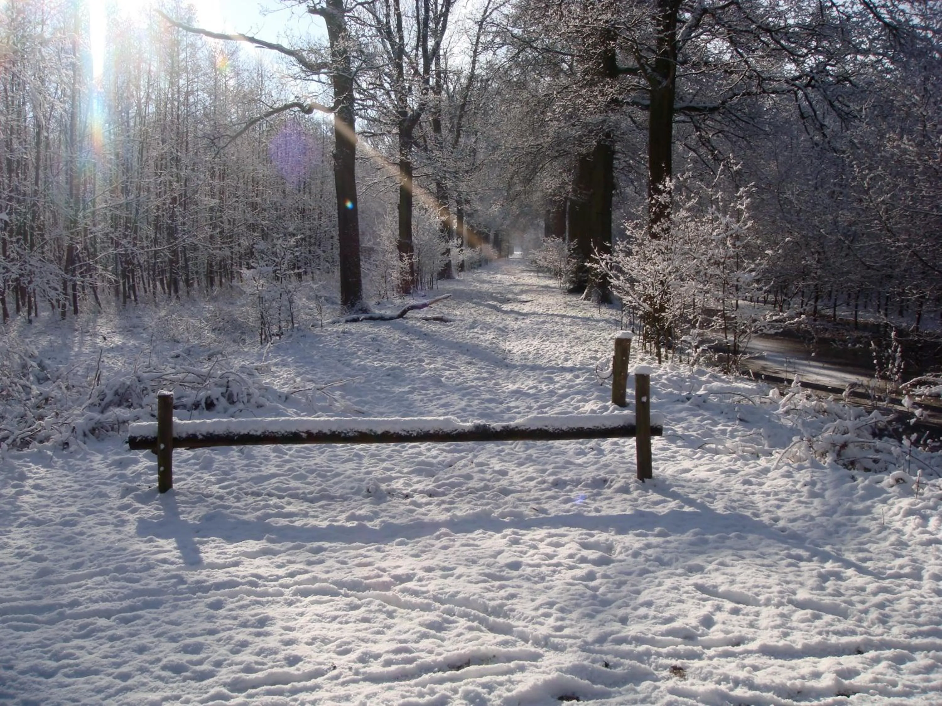 Winter in B&B De Grote Plaats