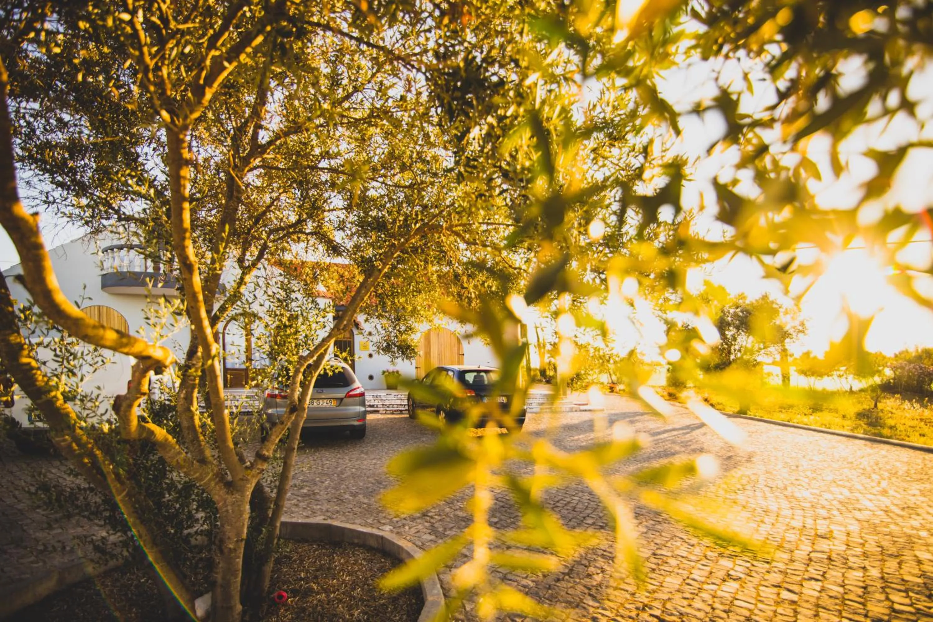Facade/entrance in Vila Fuzeta Bed & Breakfast