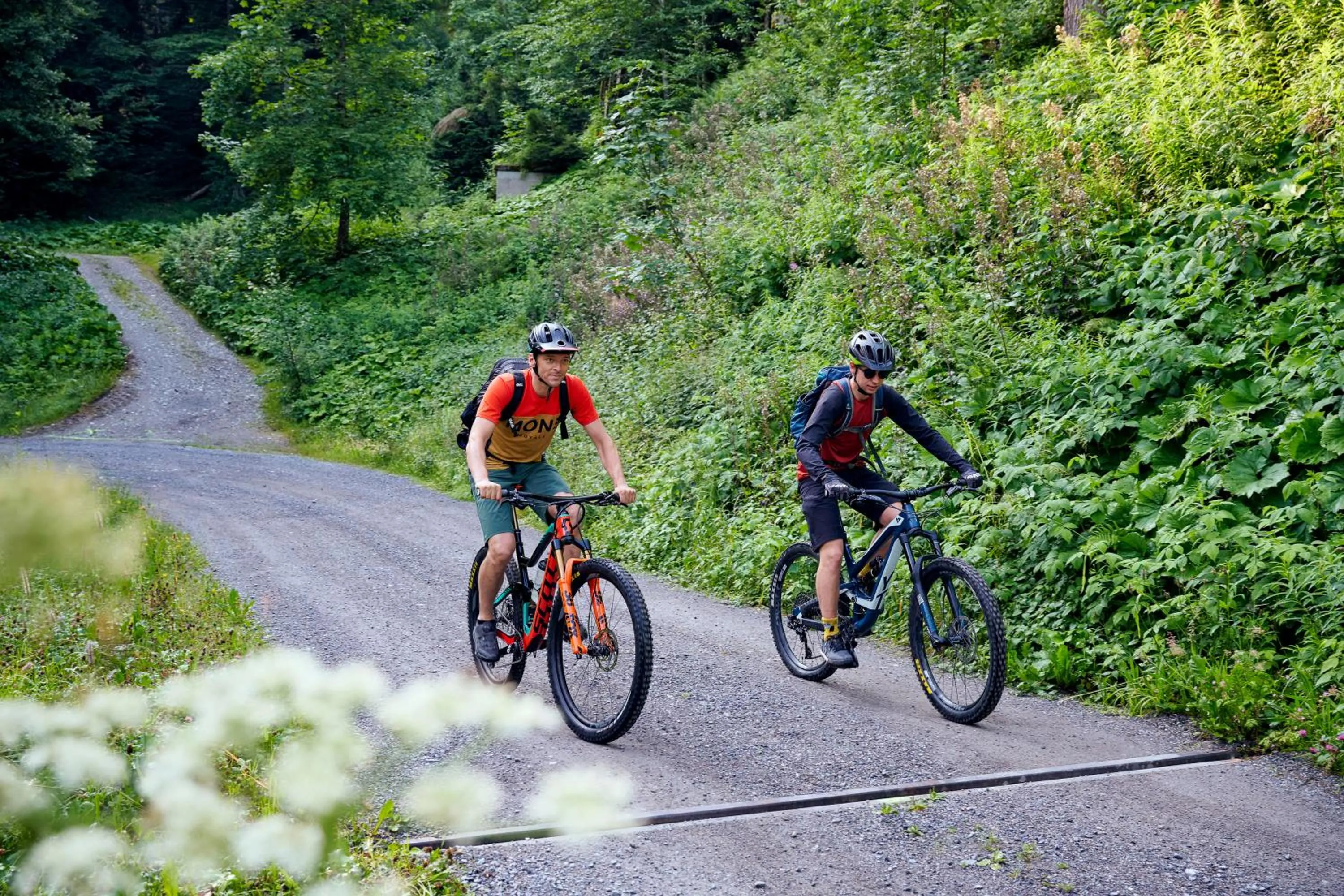 Cycling in Alpine Lodge Klösterle am Arlberg