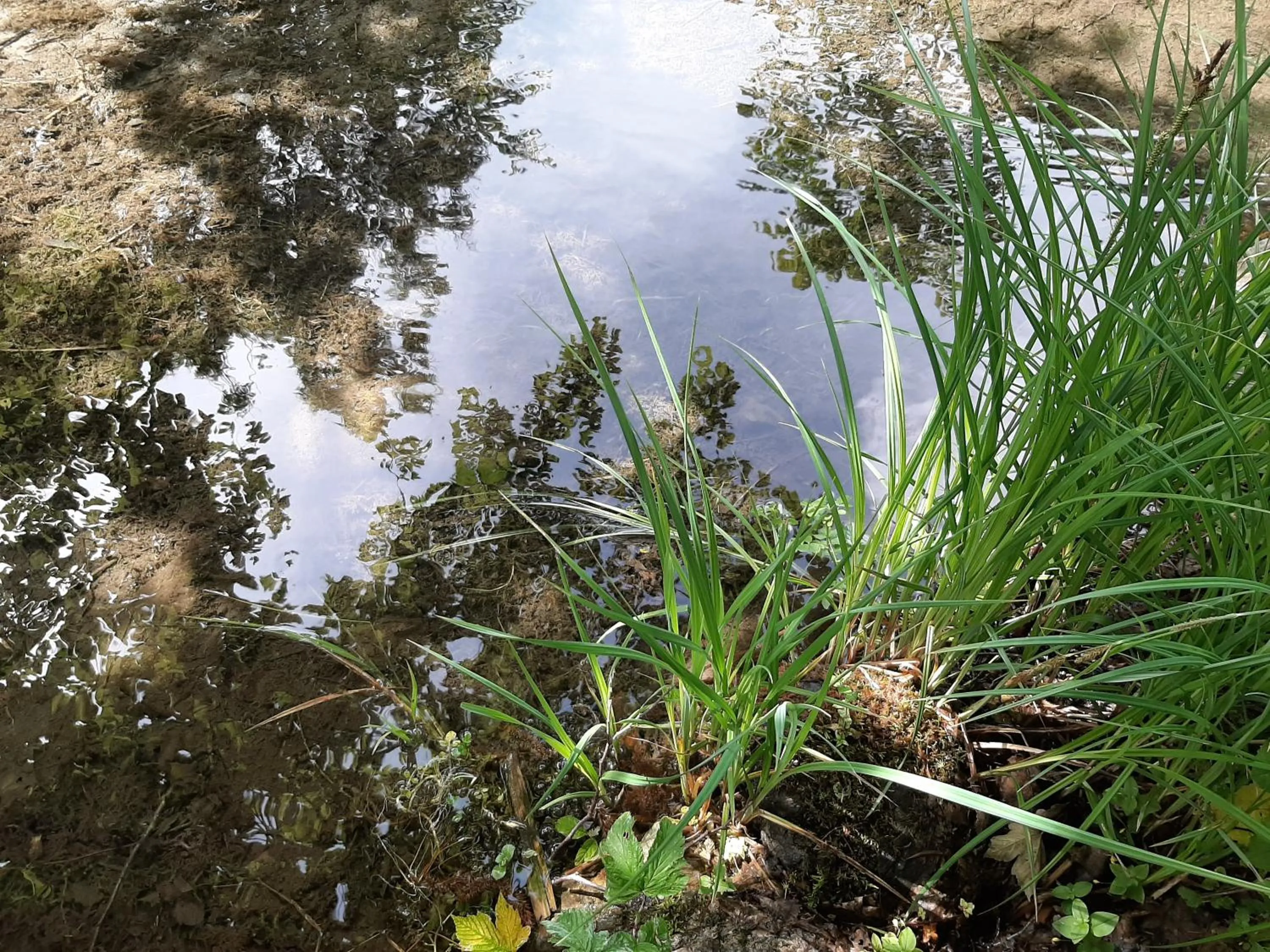 Natural landscape in Alpine Lodge Klösterle am Arlberg