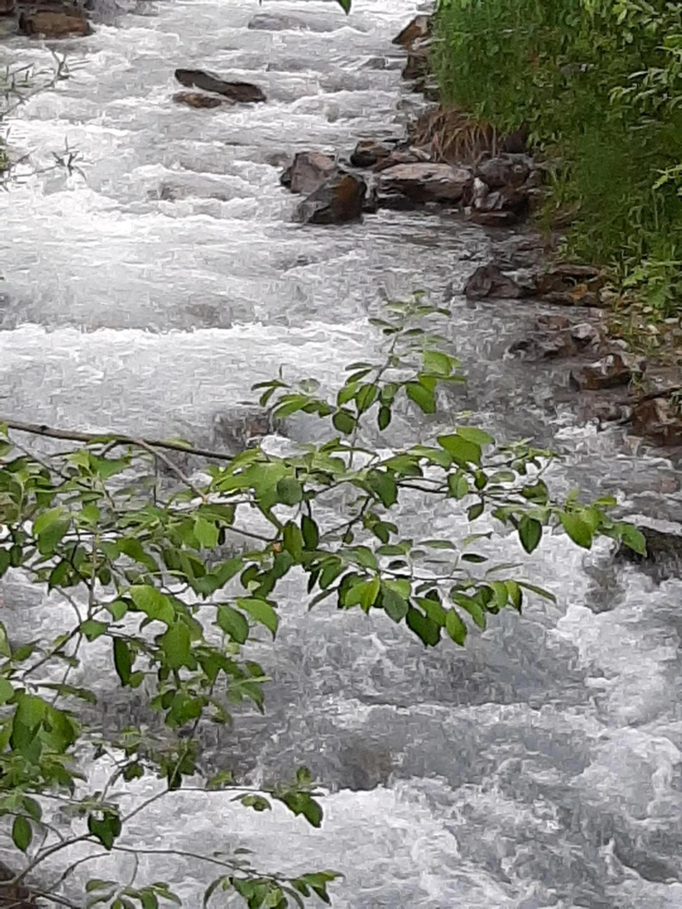 Natural landscape in Alpine Lodge Klösterle am Arlberg
