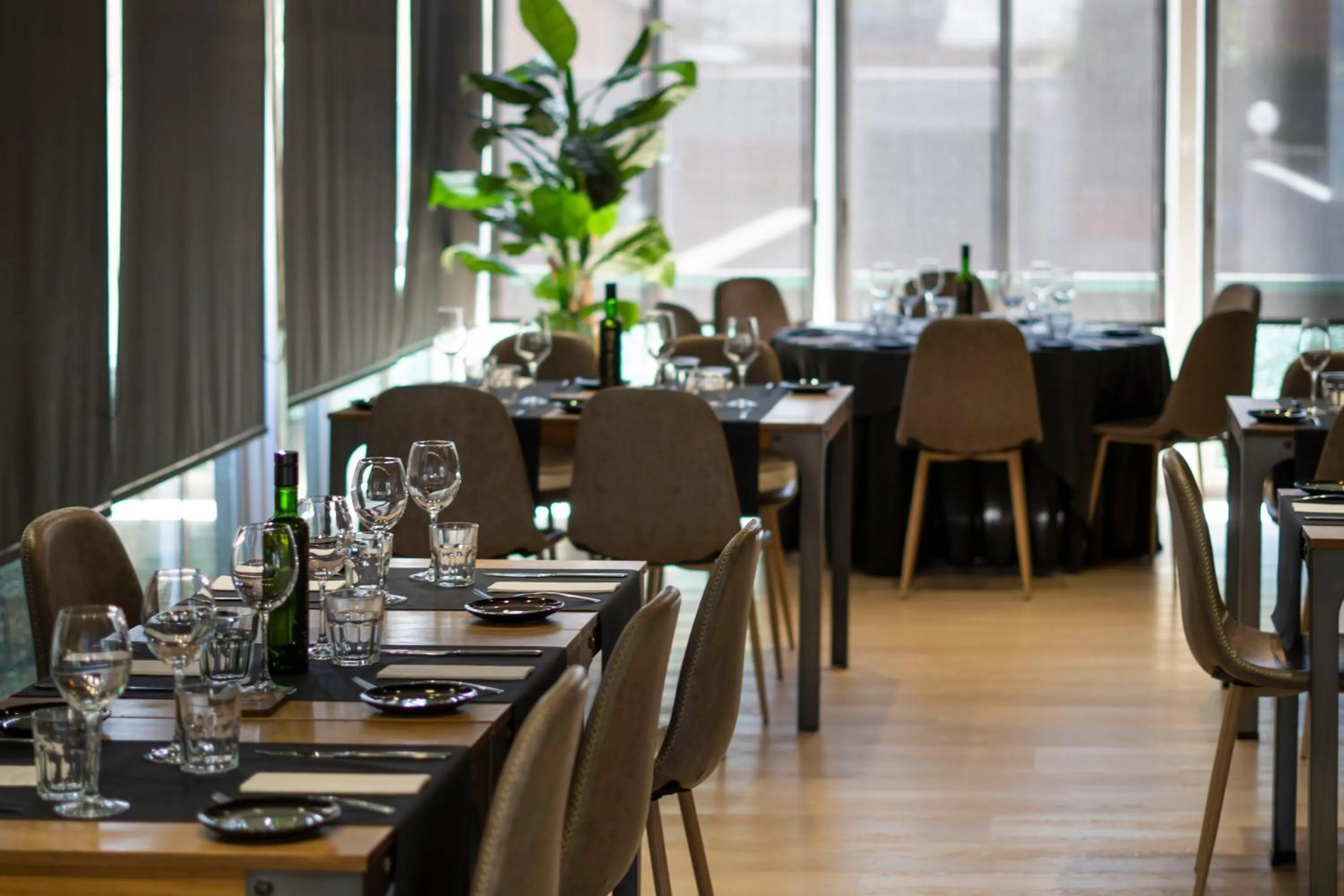 Restaurant/places to eat in Zenit Conde de Orgaz