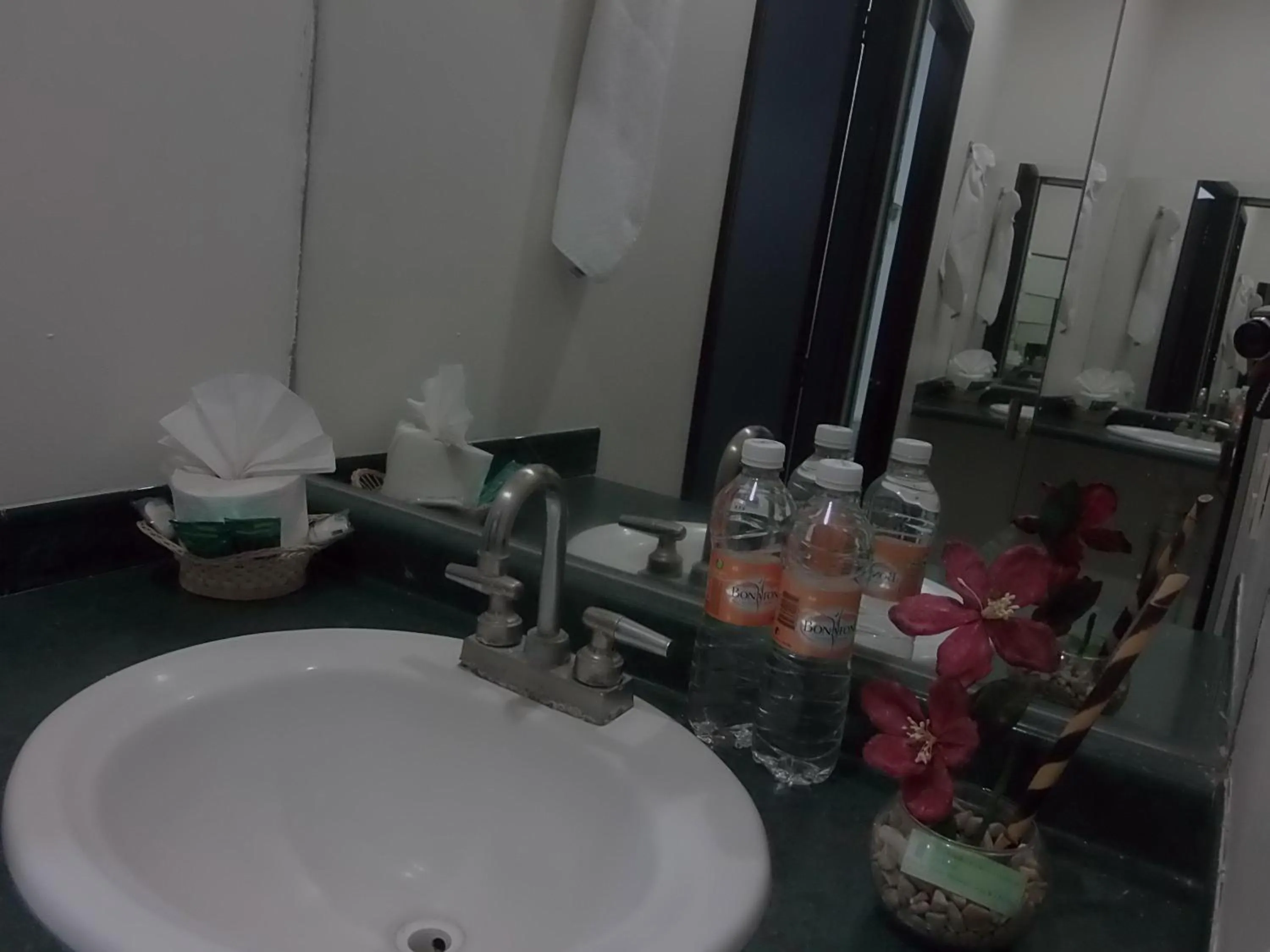 Bathroom in Hotel Raldos Inn