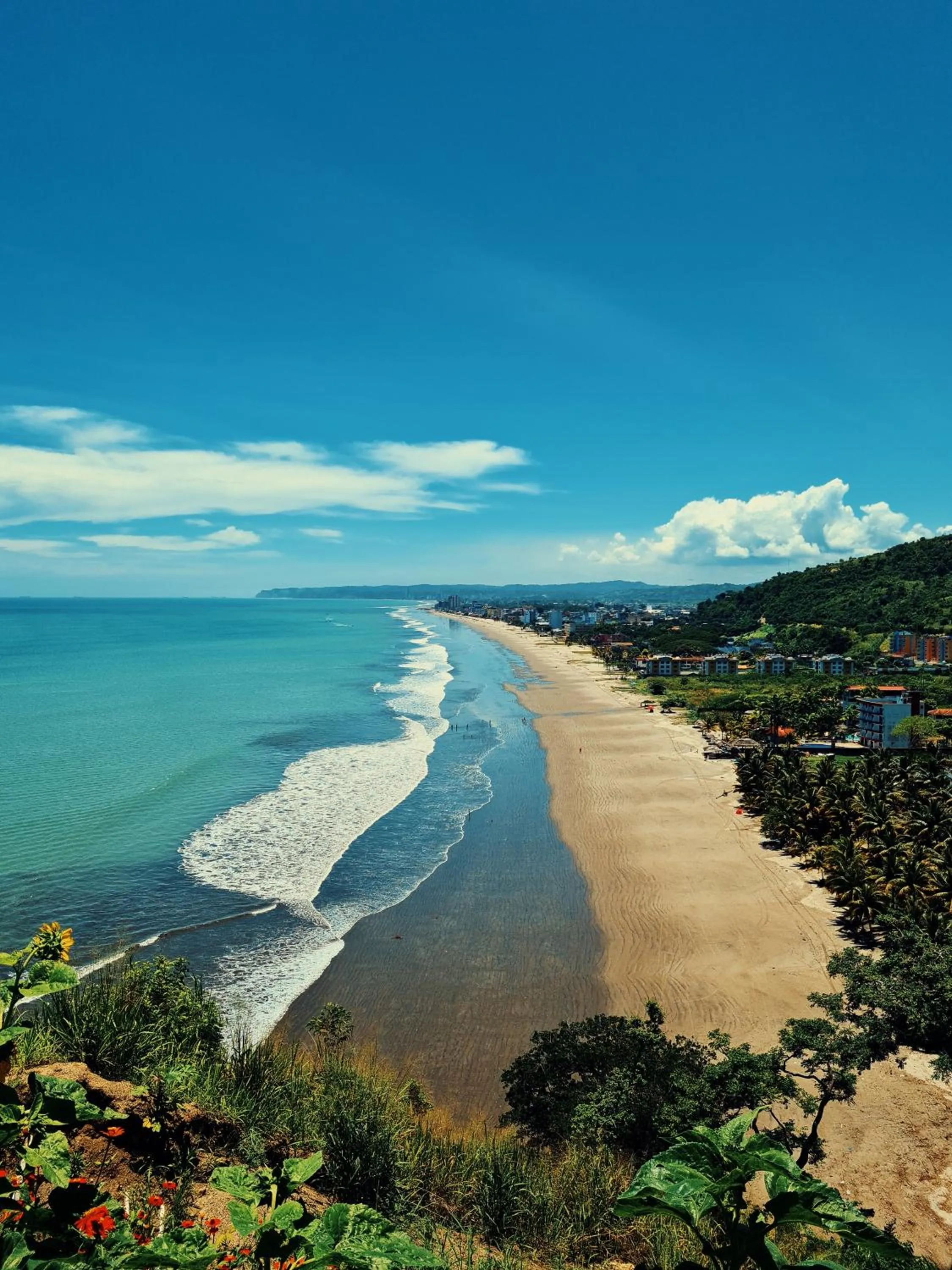 Nearby landmark in Hotel Club del Sol