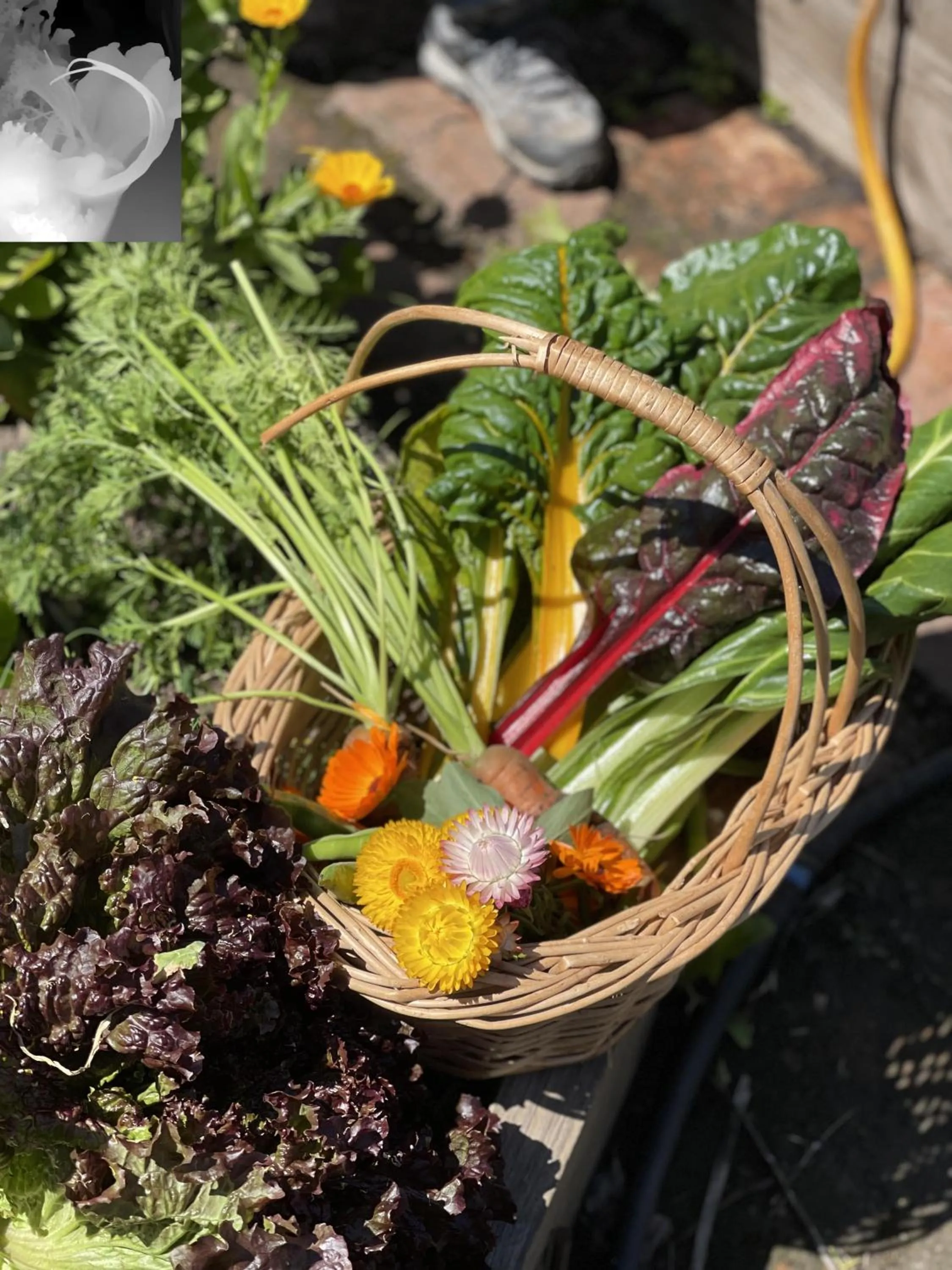 Day in Narbona Wine Lodge