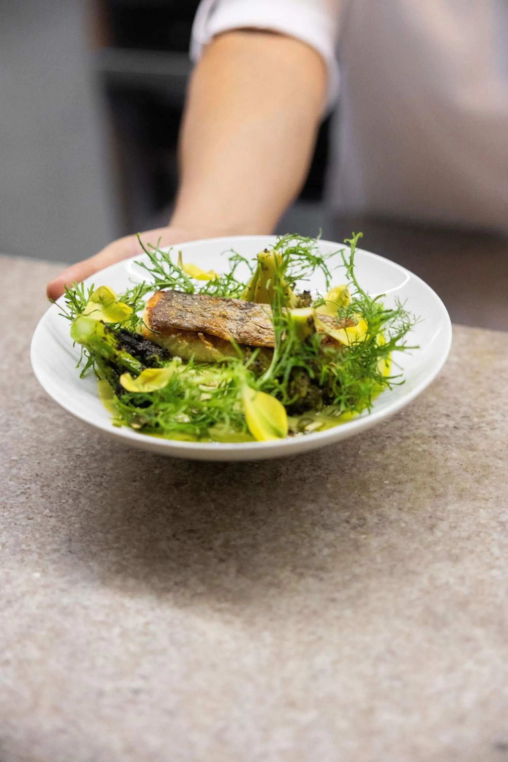 Restaurant/places to eat in Hotel Sureño Yucatan