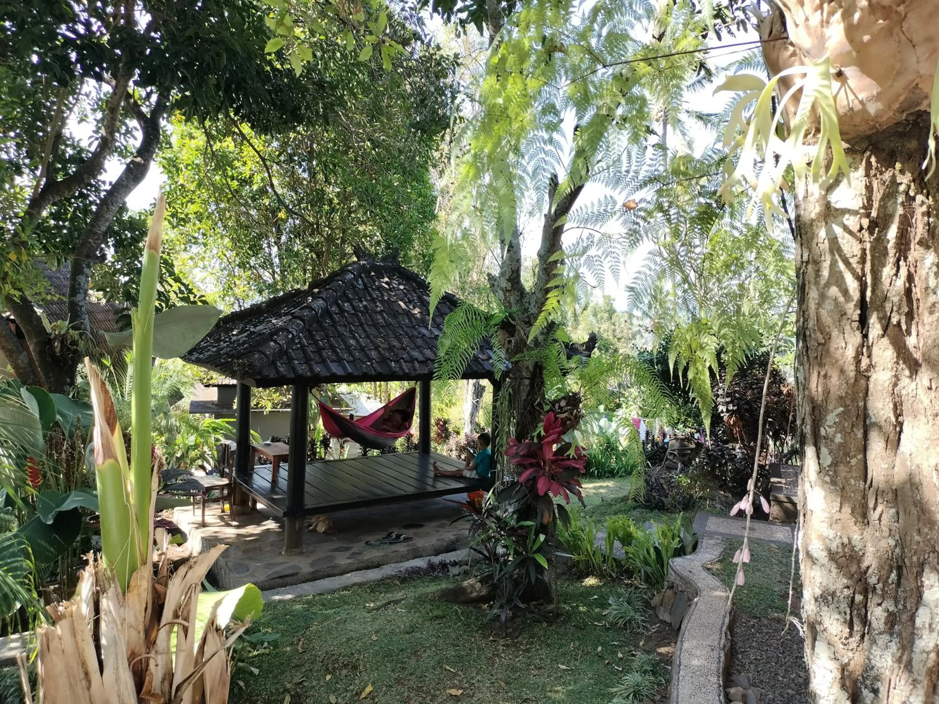 Natural landscape in D'kailash Retreat