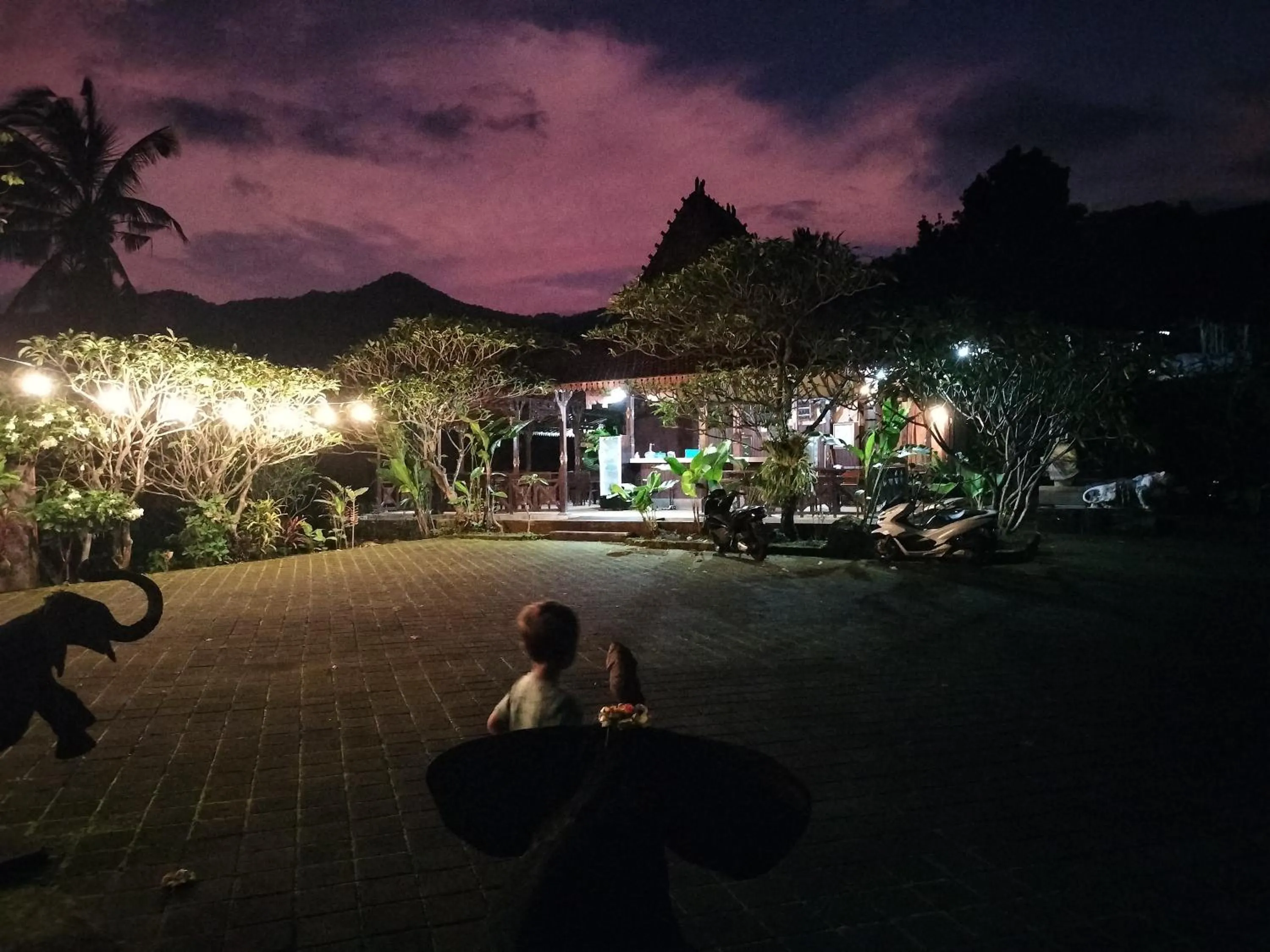 Night in D'kailash Retreat