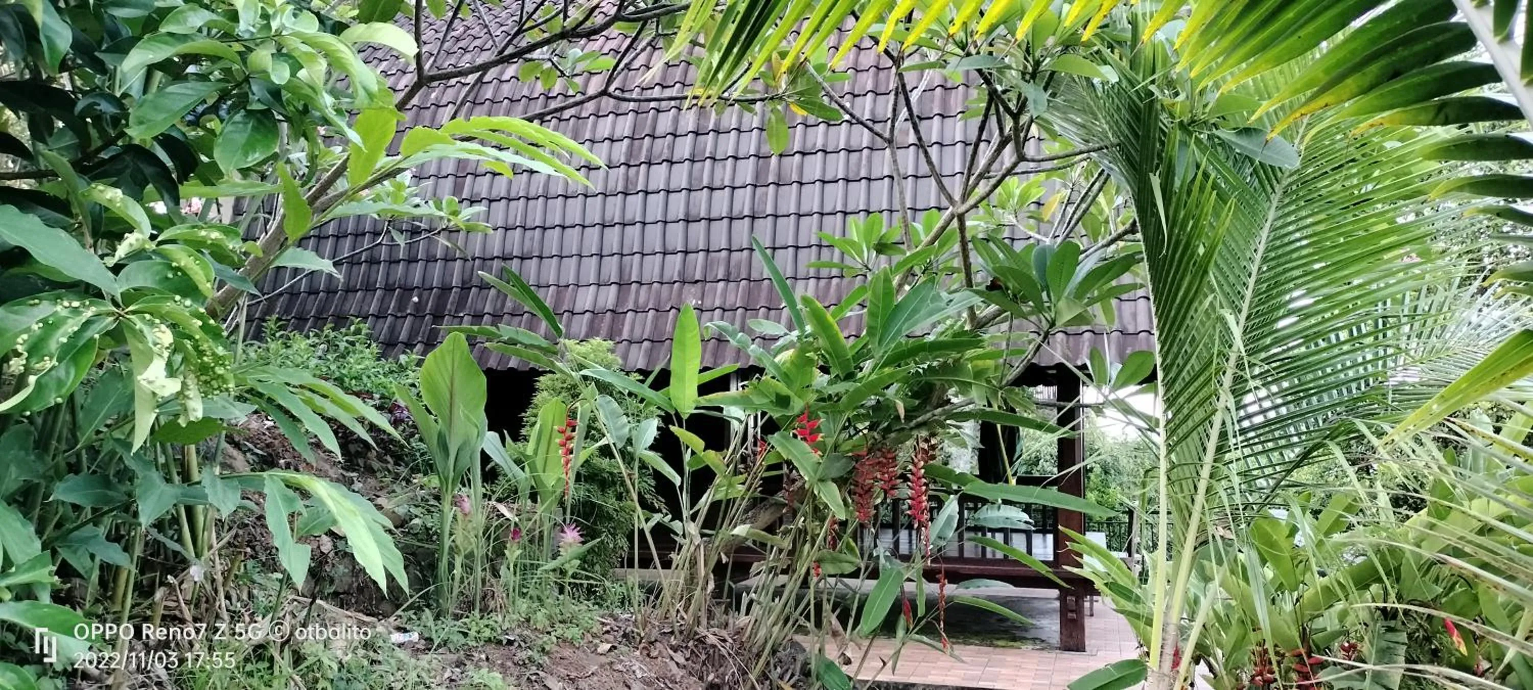 Property building in D'kailash Retreat