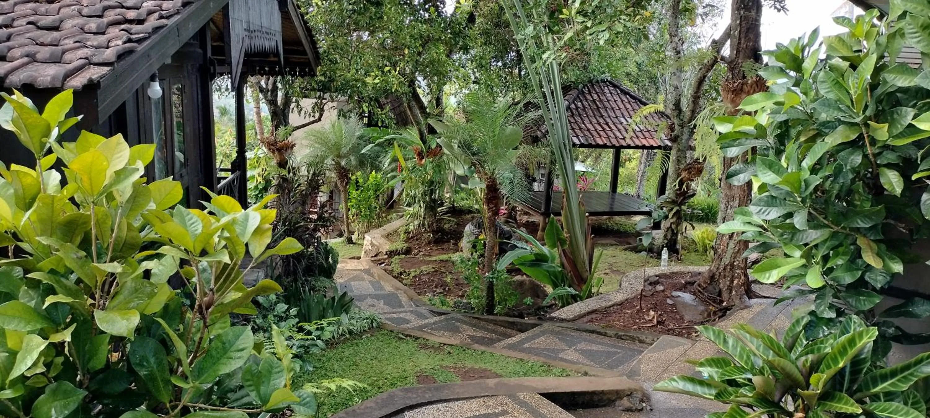 Garden in D'kailash Retreat