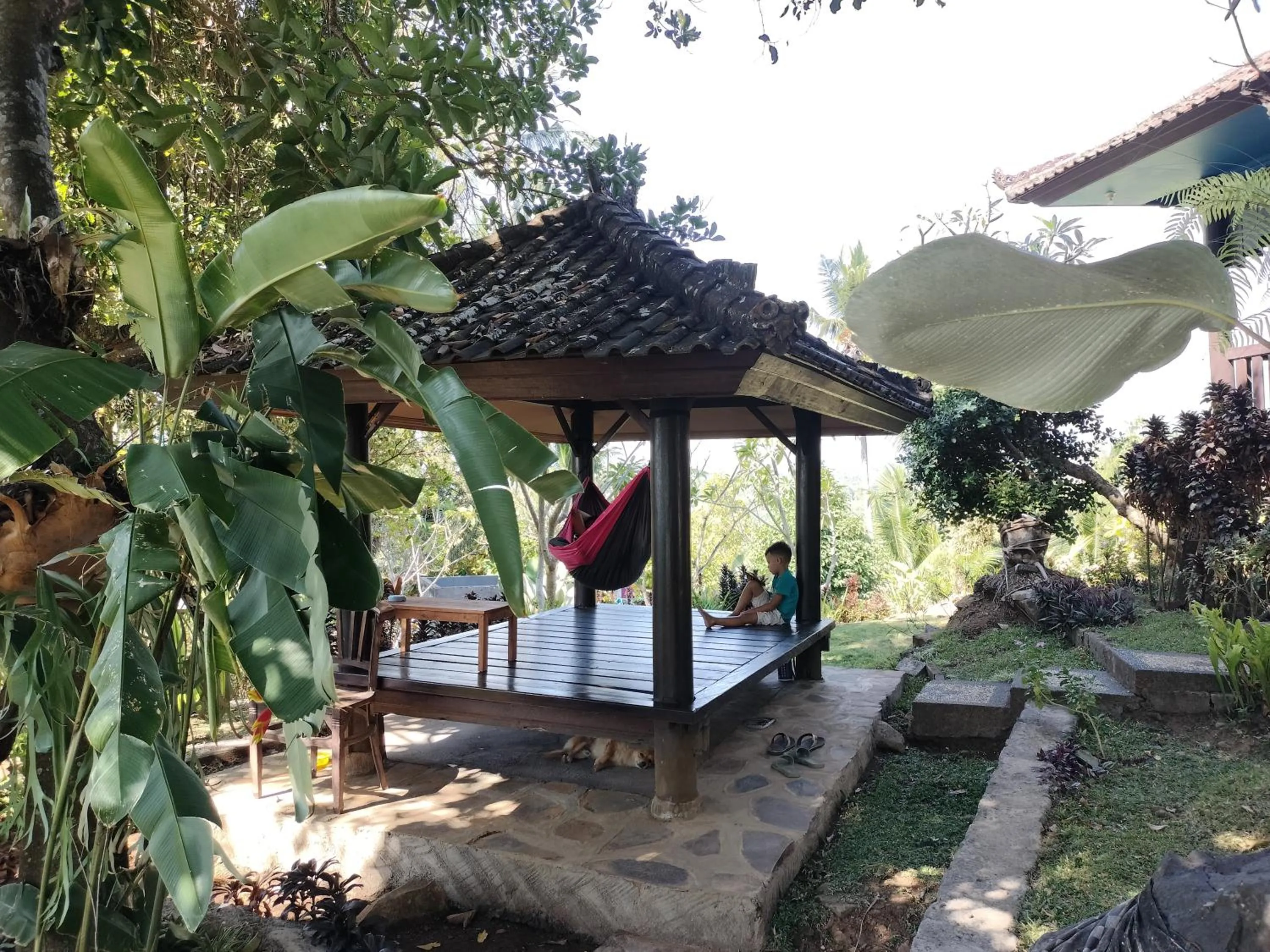 Garden in D'kailash Retreat