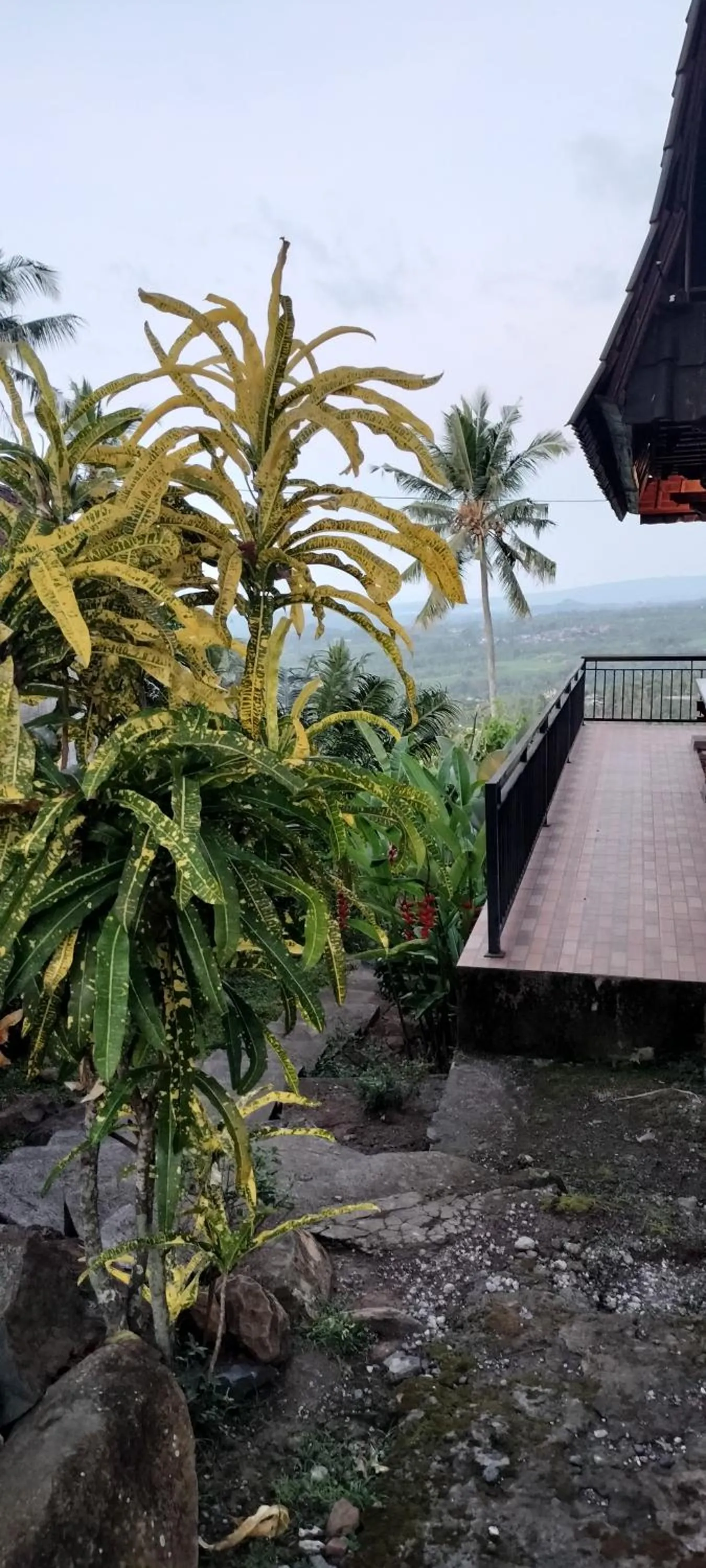 Natural landscape in D'kailash Retreat