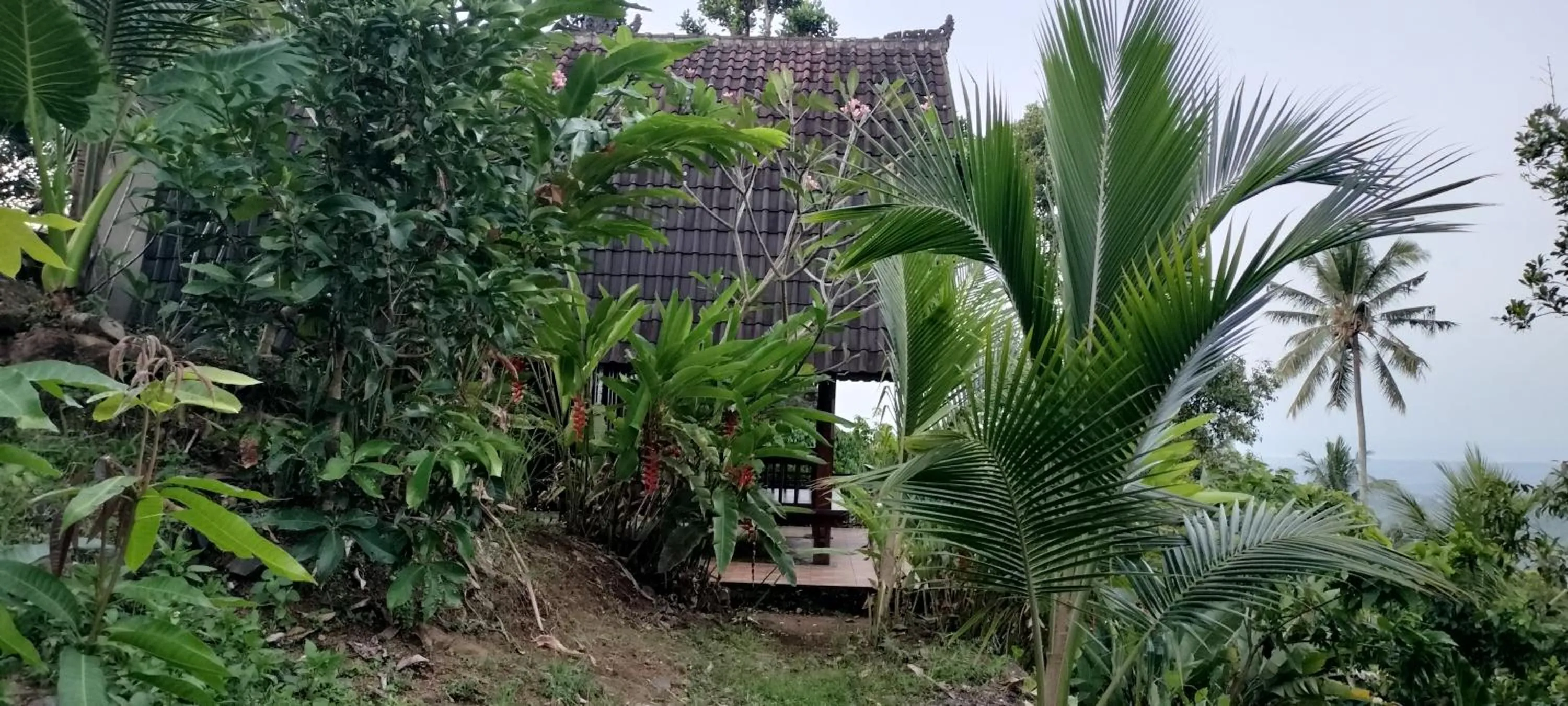 Natural landscape in D'kailash Retreat