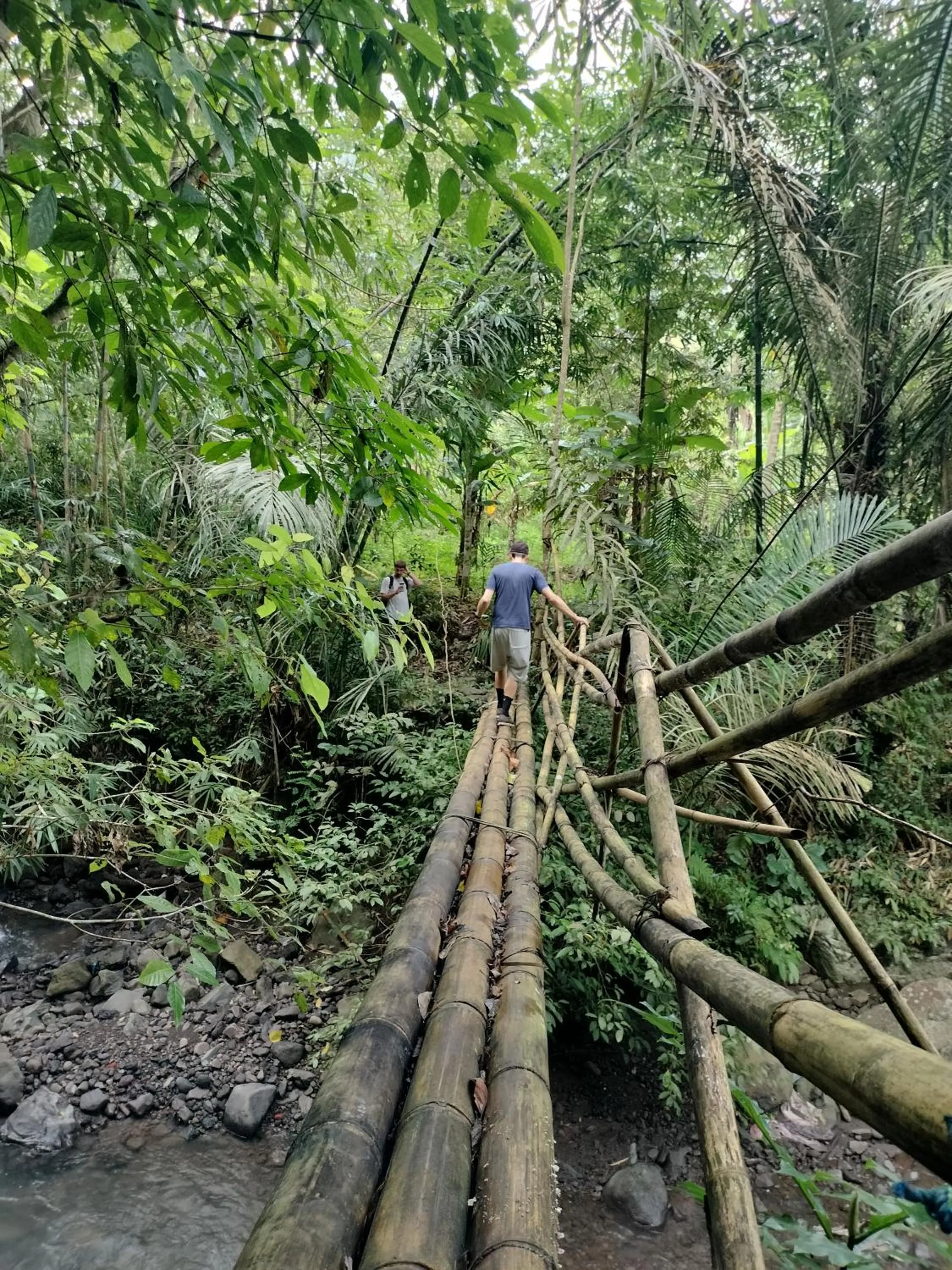Natural landscape in D'kailash Retreat