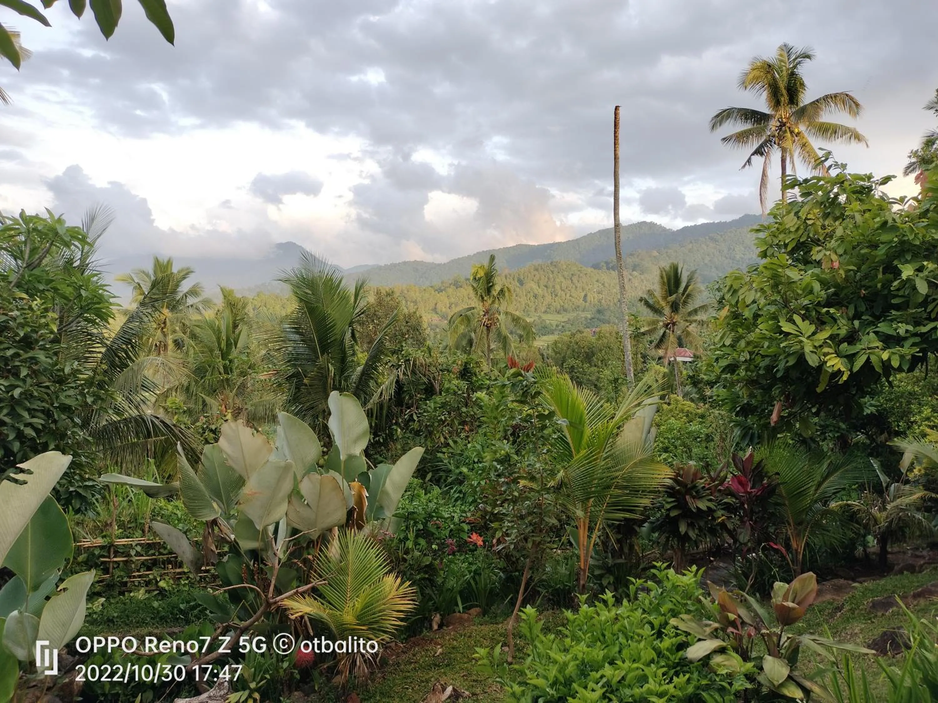Natural landscape in D'kailash Retreat