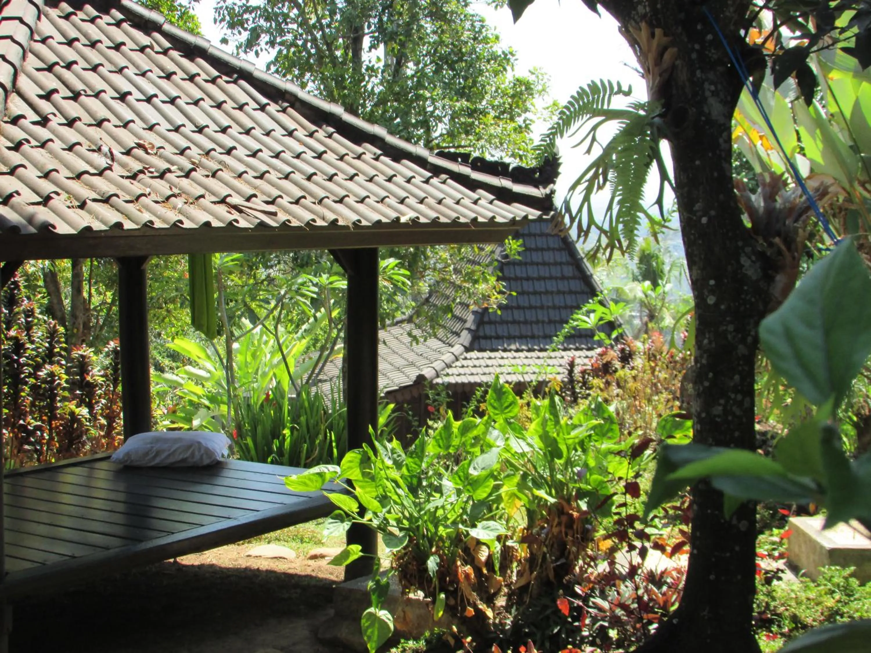 Property building in D'kailash Retreat