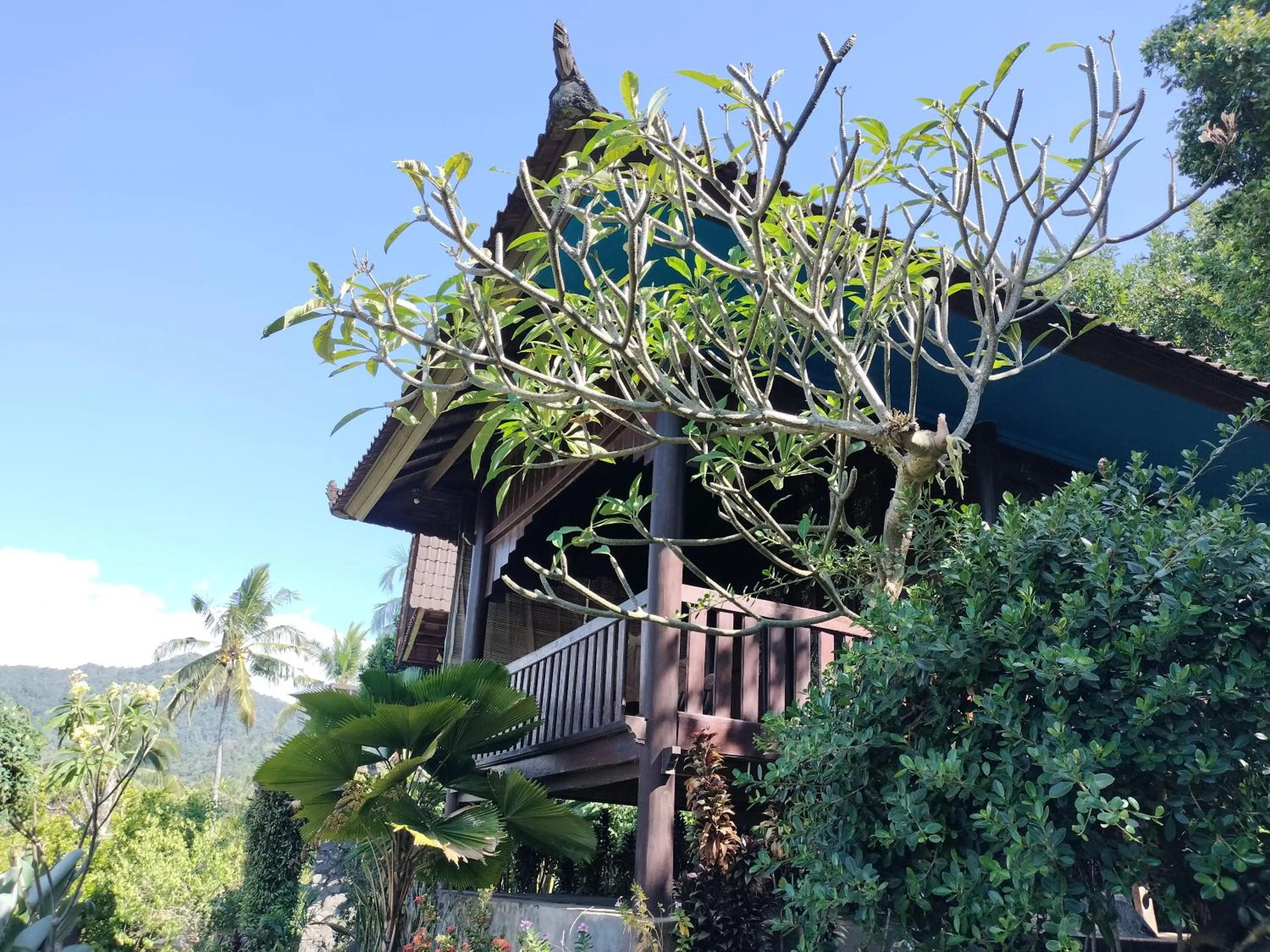 Property building in D'kailash Retreat