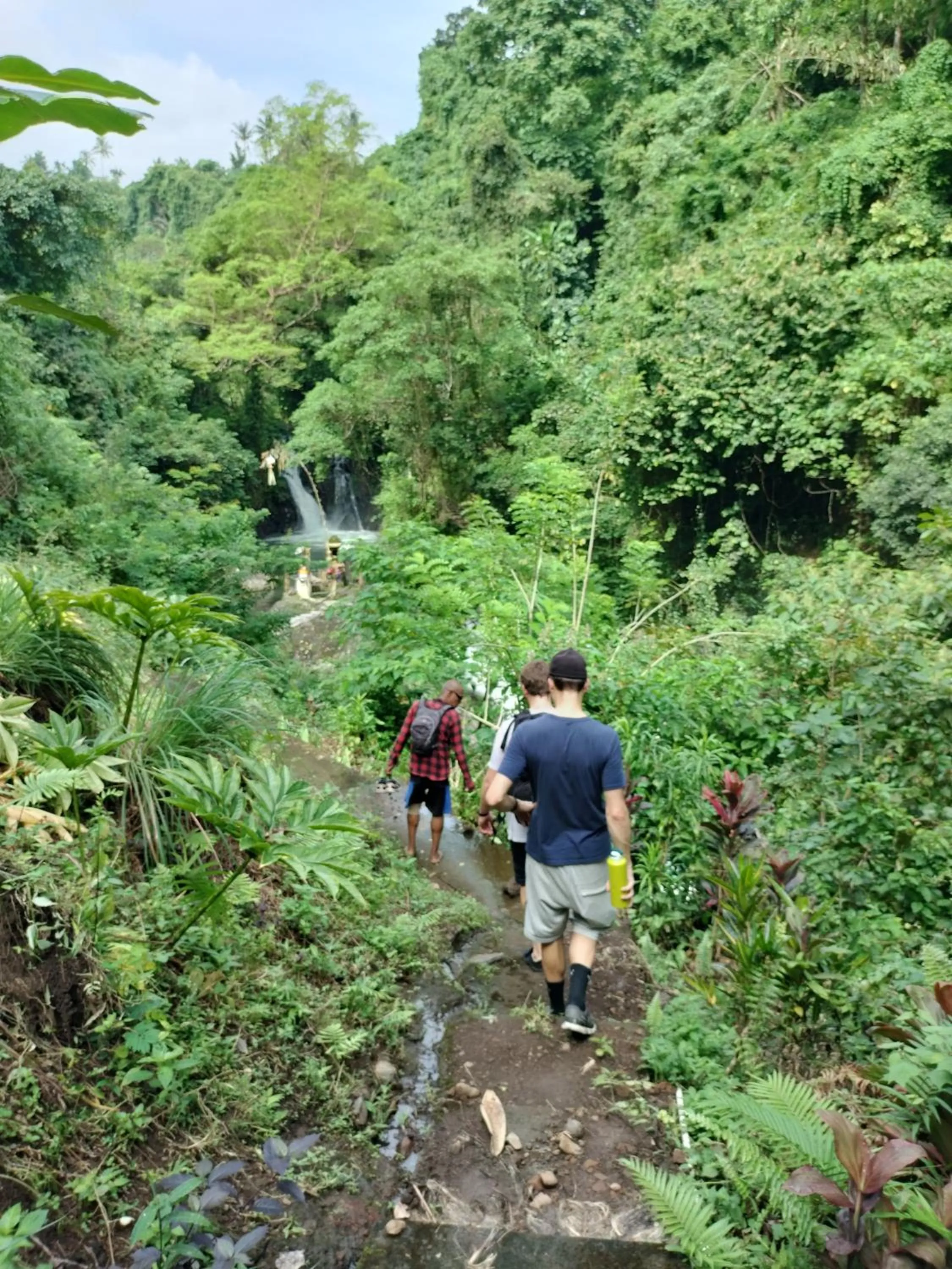 Natural landscape in D'kailash Retreat