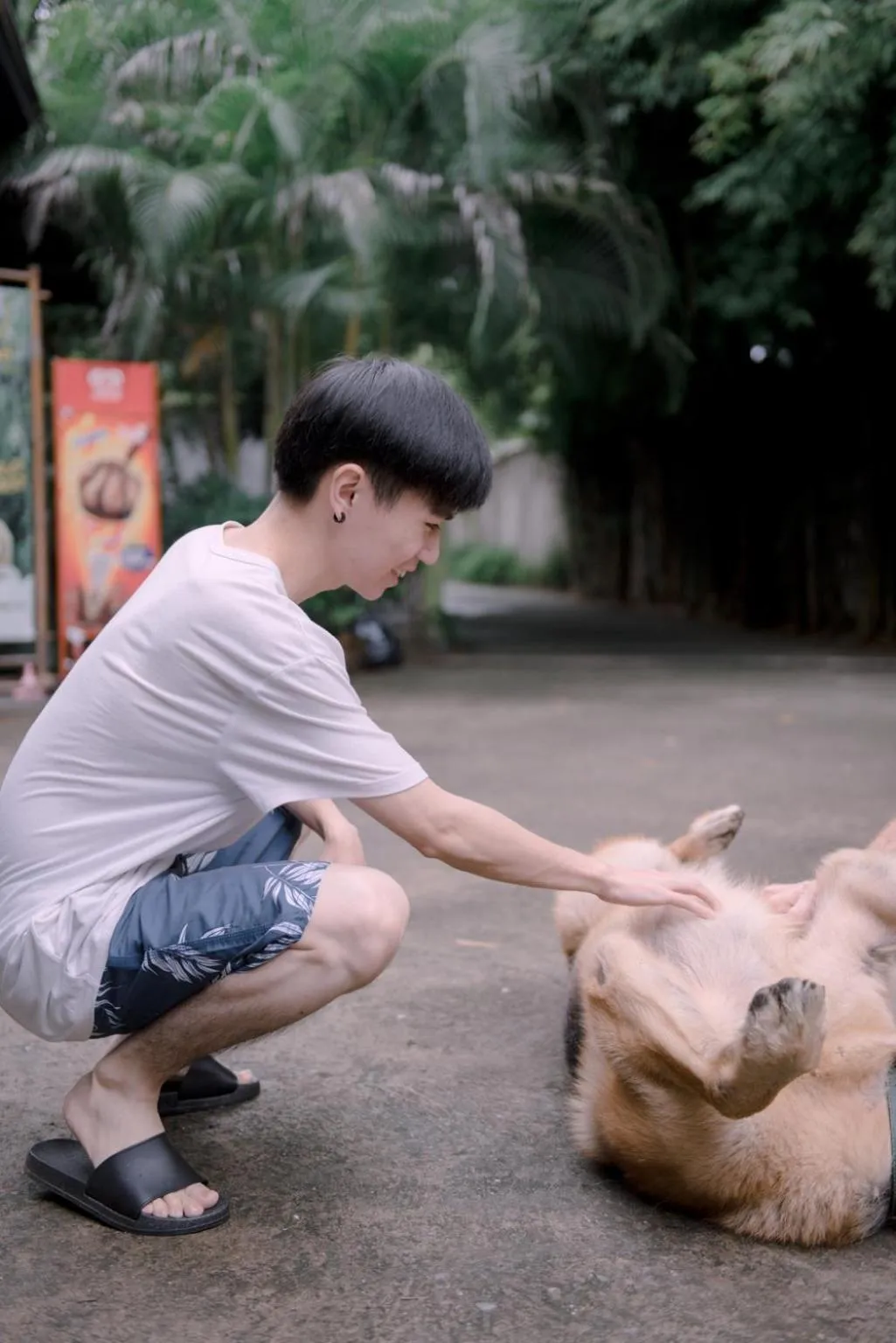 Pets in Rice Barn And Rooms