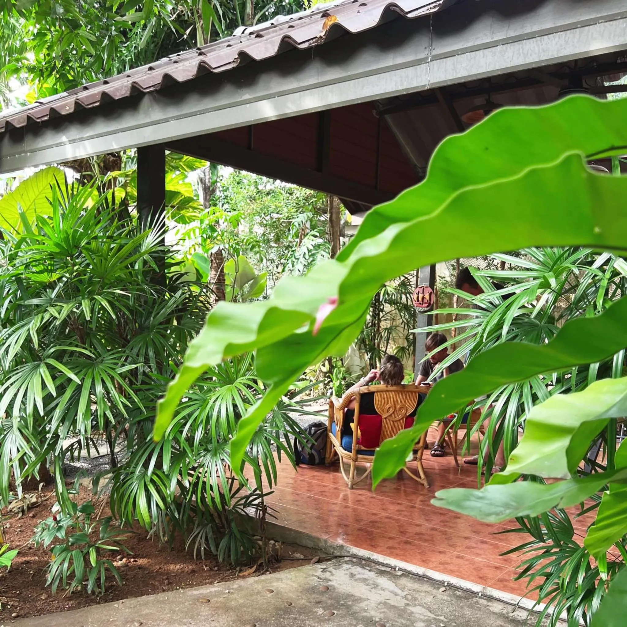 Garden in The Snug Airportel - Phuket Airport