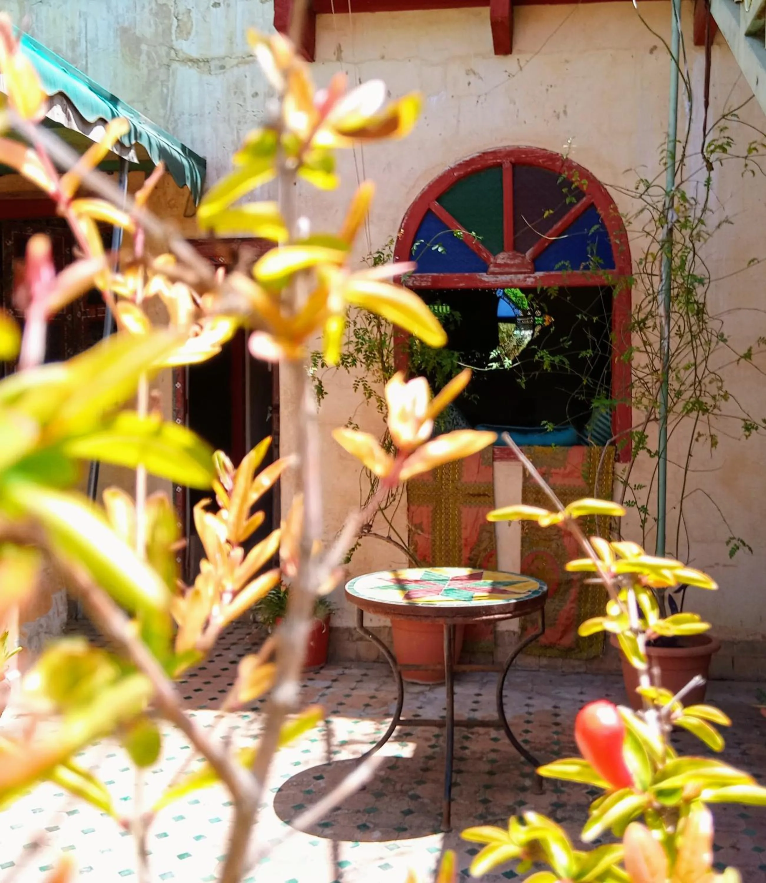 Patio in Riad Rchacha