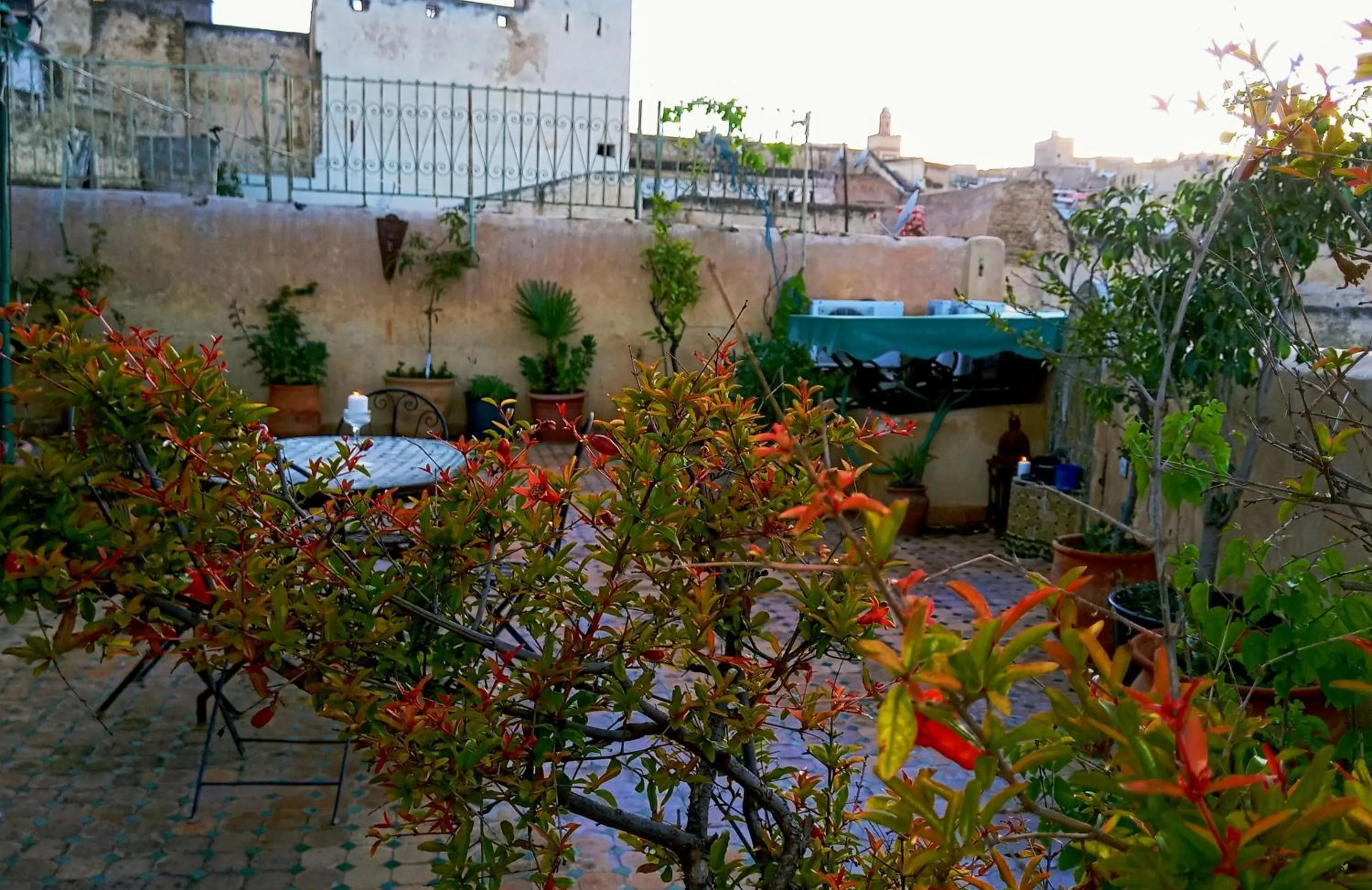 Balcony/Terrace in Riad Rchacha