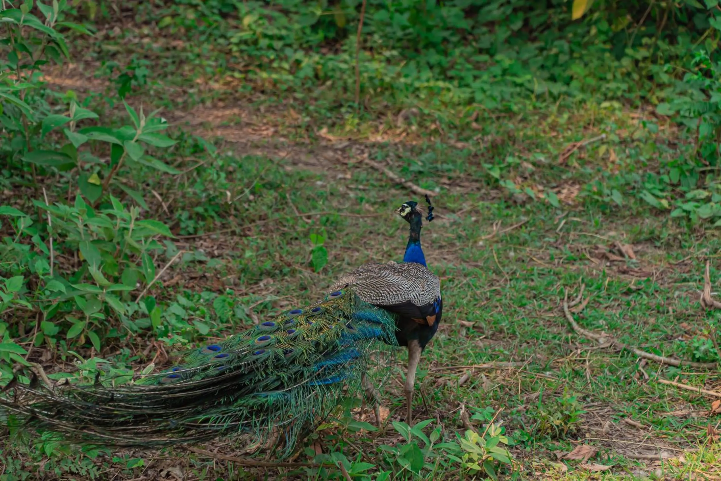 Day in Hotel Seven Limited