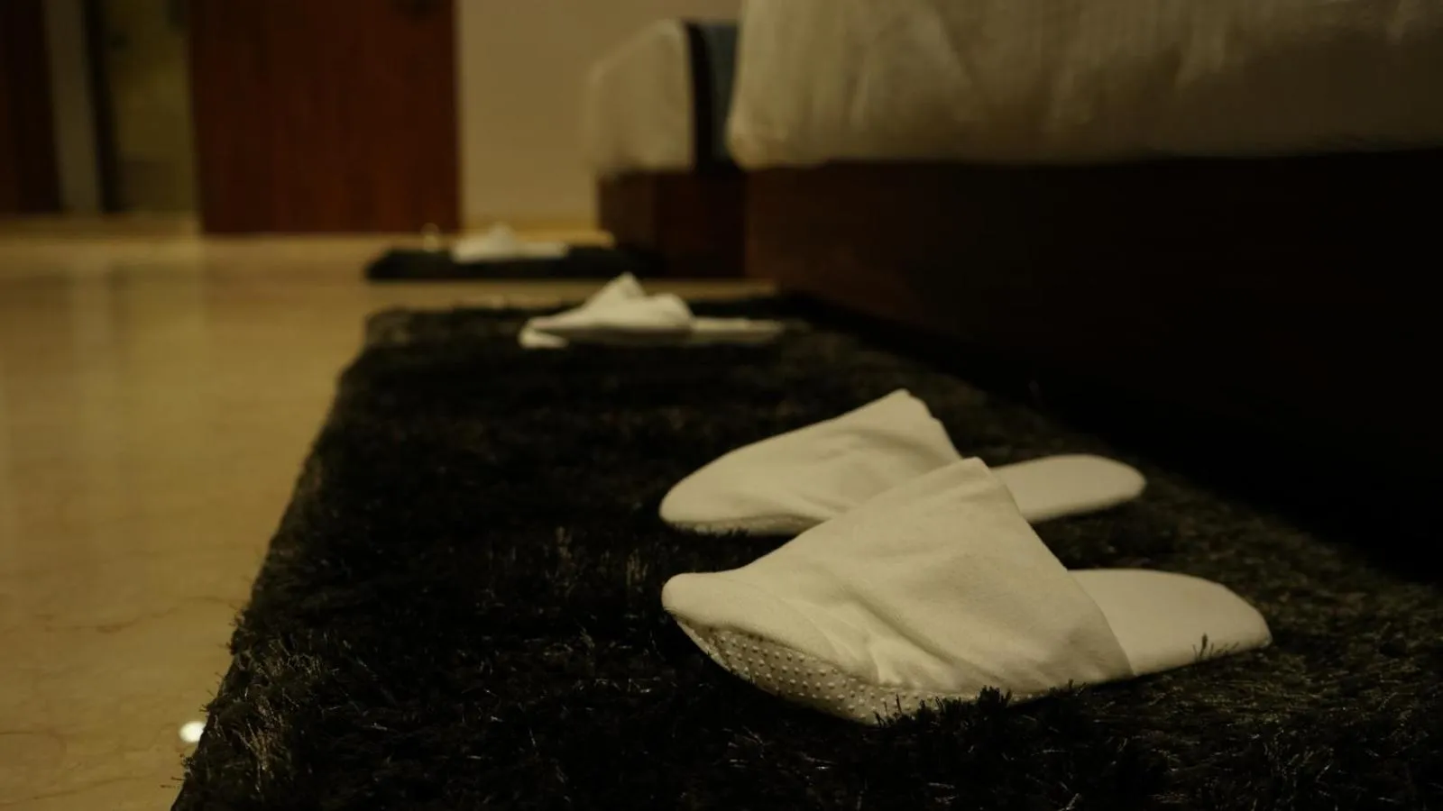 acessibility in Alaukik Hotel