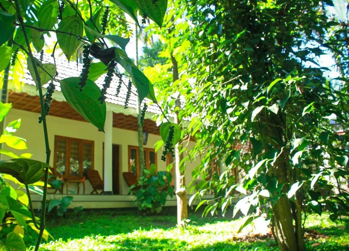 Green Court Cottages