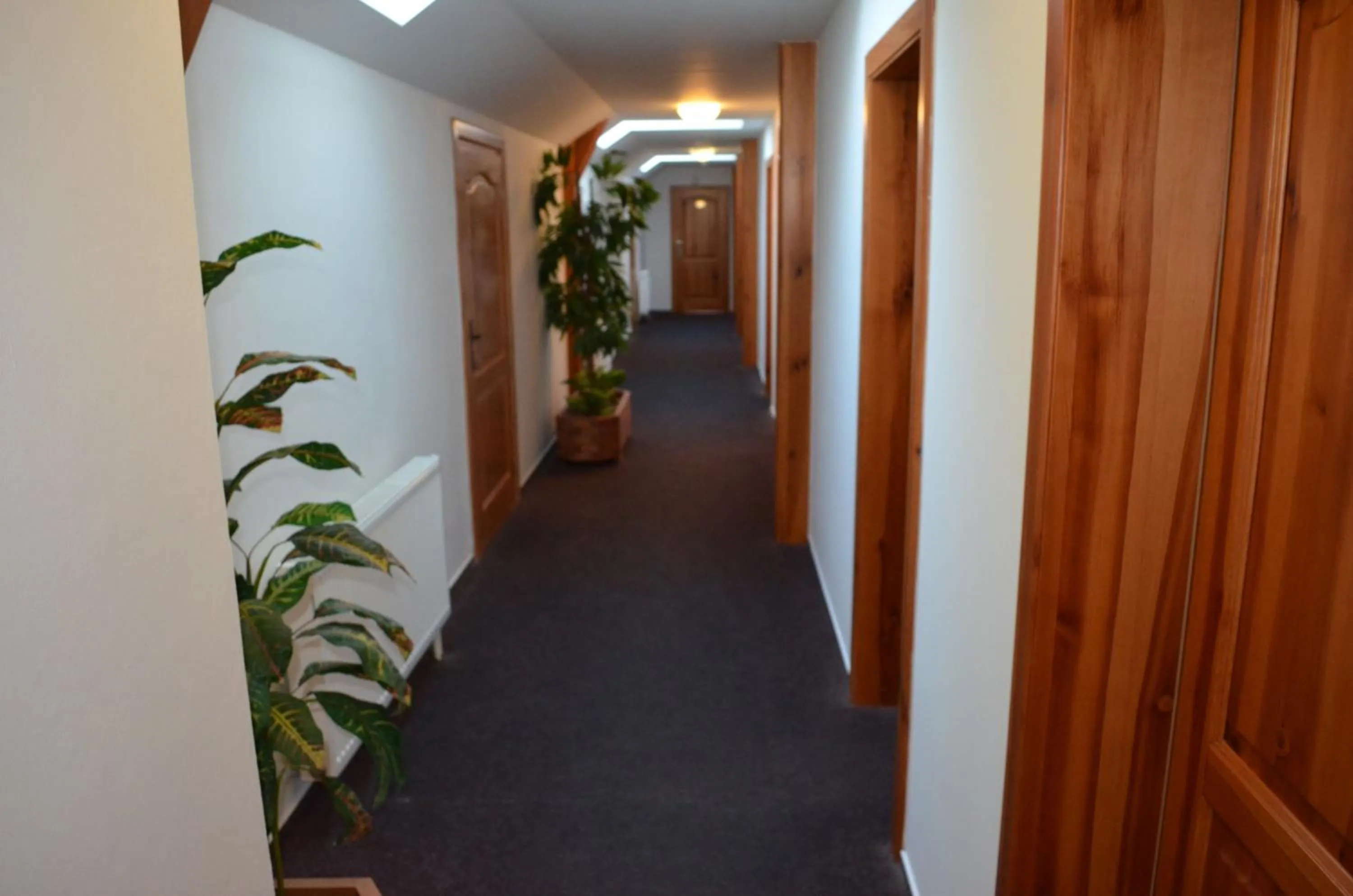 Area and facilities in Hotel Na Statku