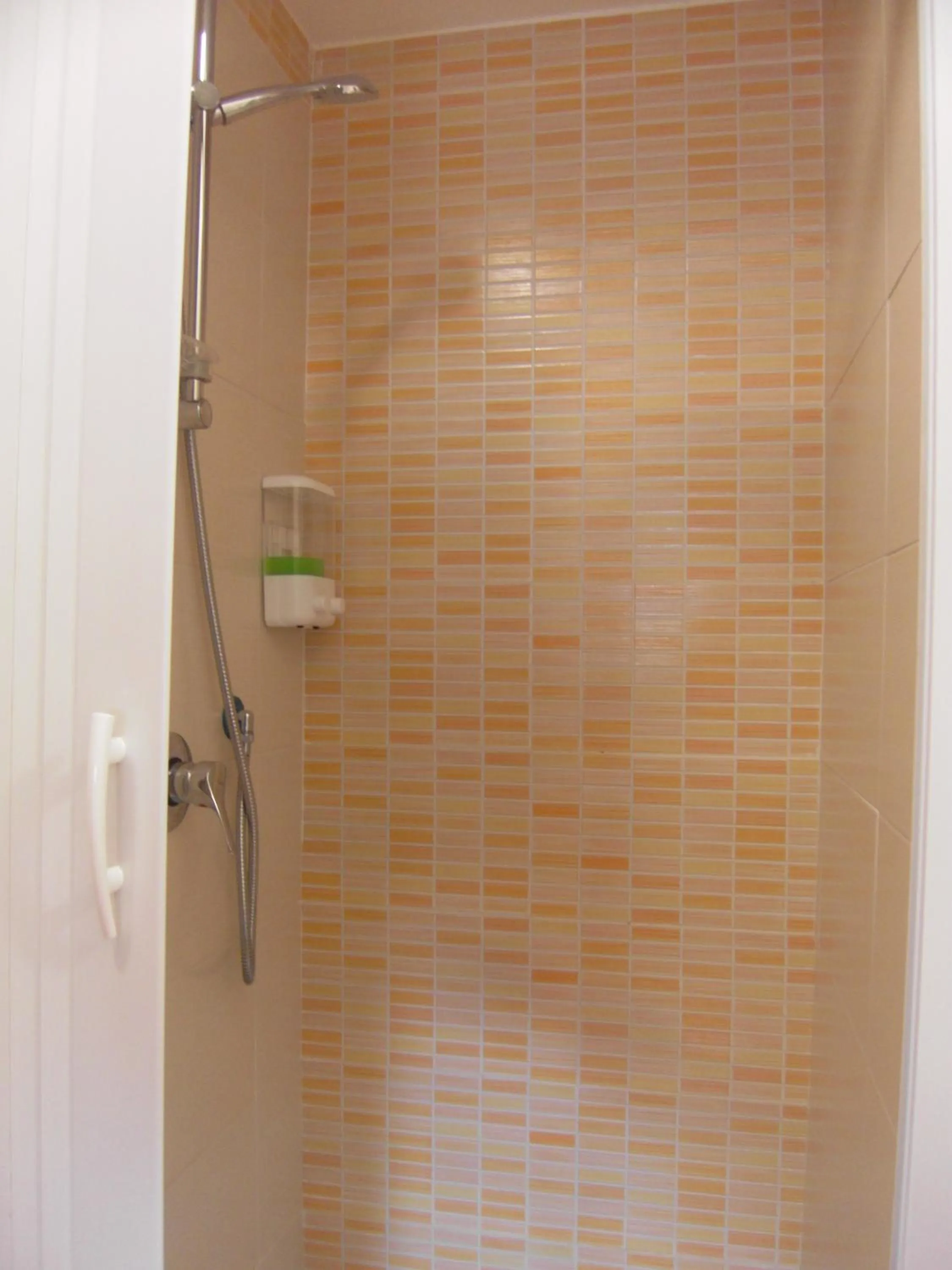 Shower in B&B Santa Rosa