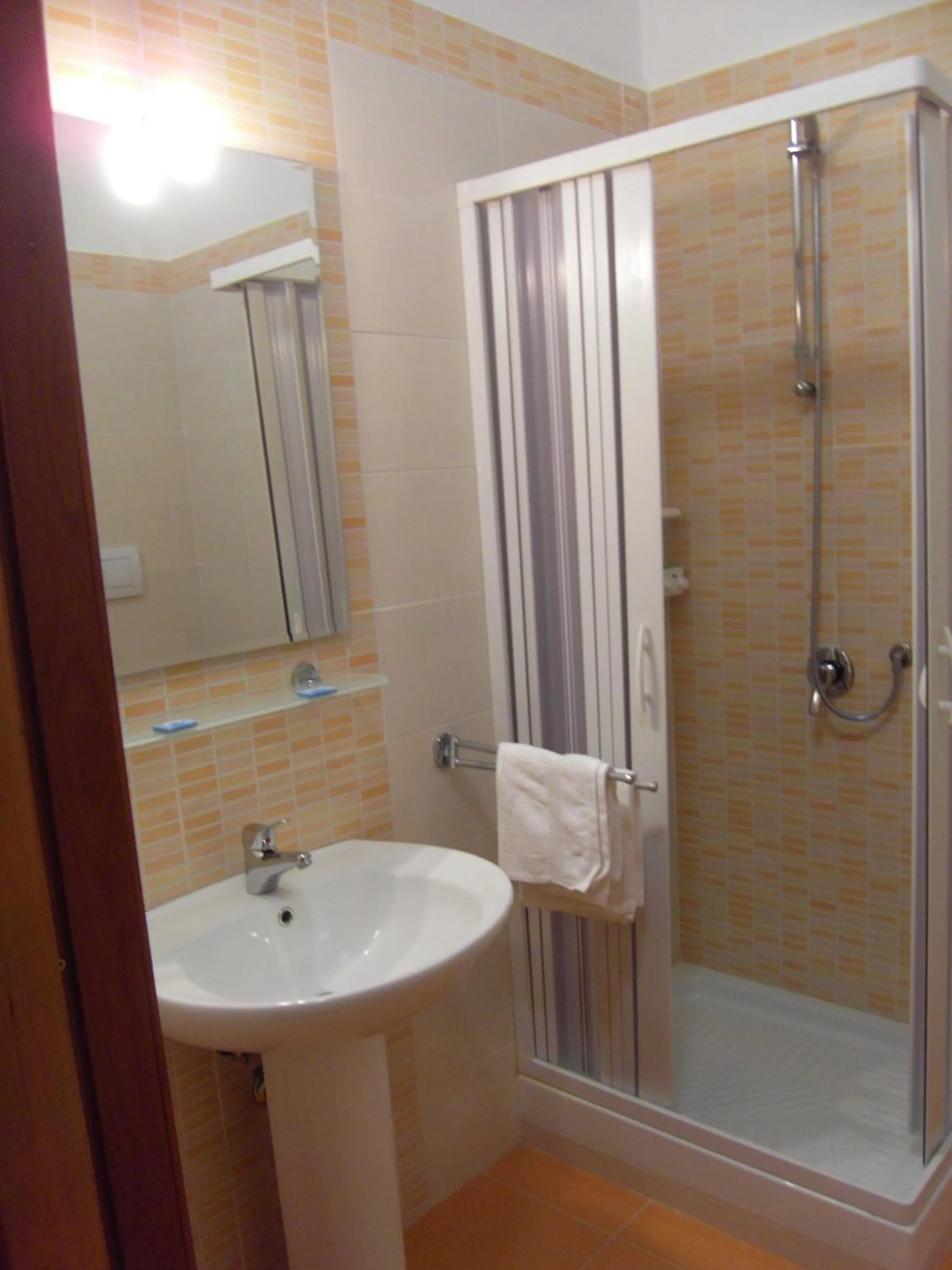 Shower in B&B Santa Rosa