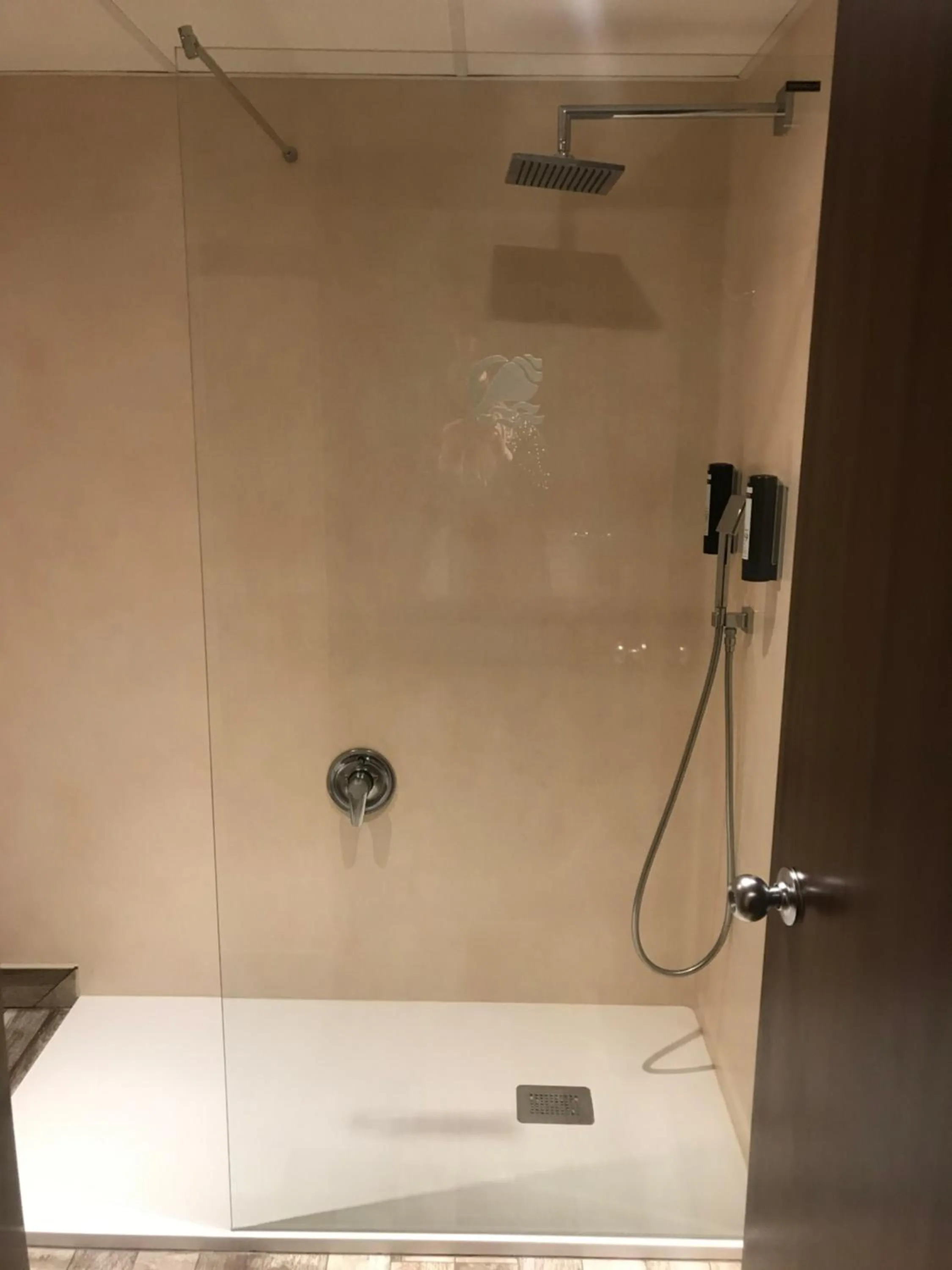 Shower in Hotel Palacio del Mar